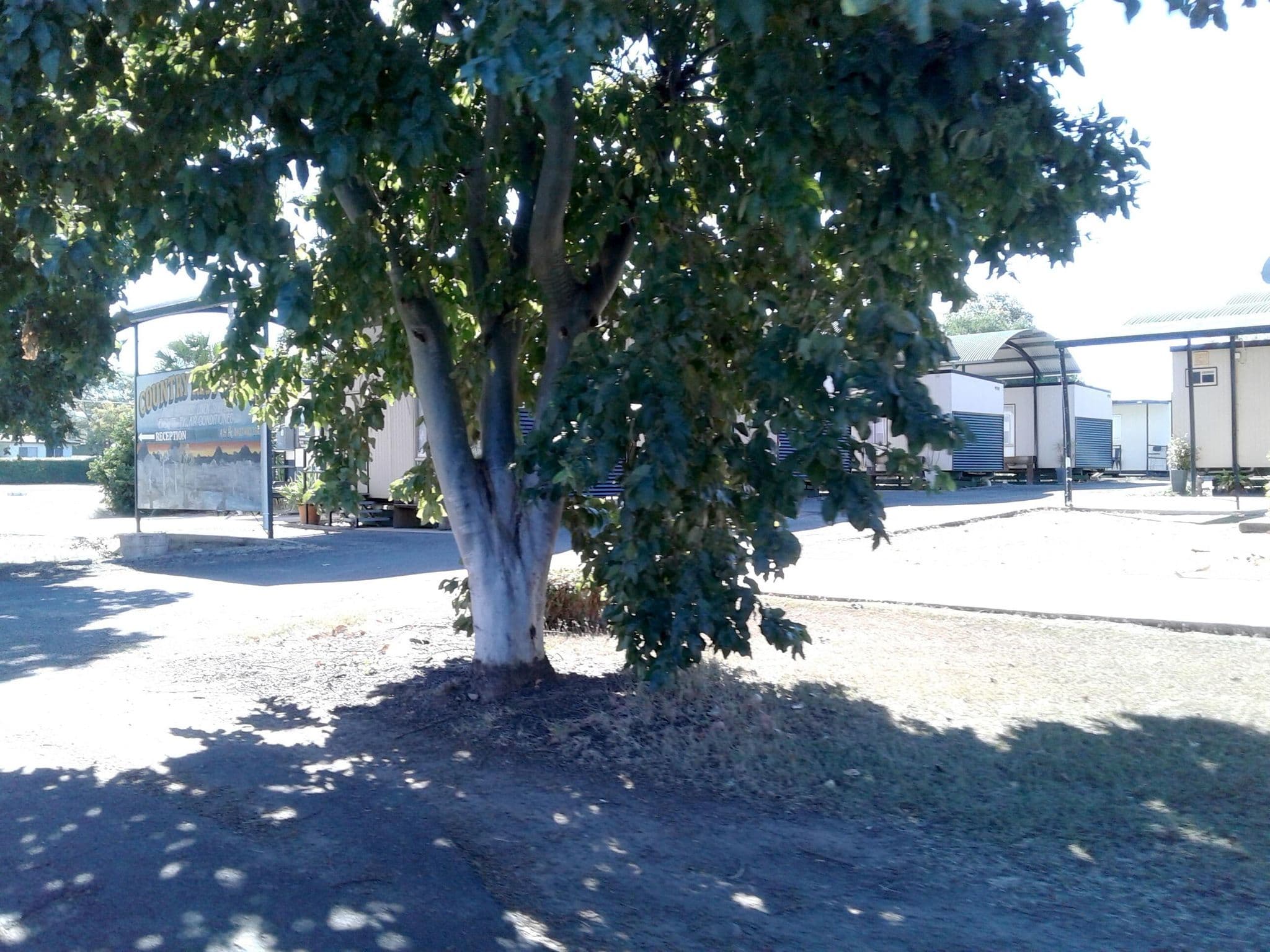 Street view near Country Rest Cabins, Wandoan — © bob3bob3 (CC BY-SA · Mapillary)