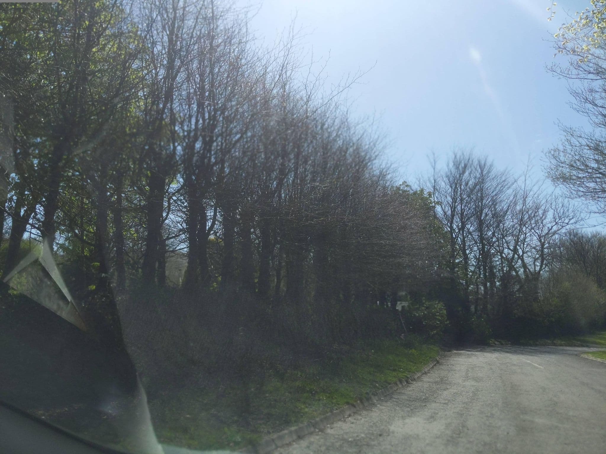 Street view near Bundu Camping and Caravan Park, Okehampton — © WaggyDog (CC BY-SA · Mapillary)