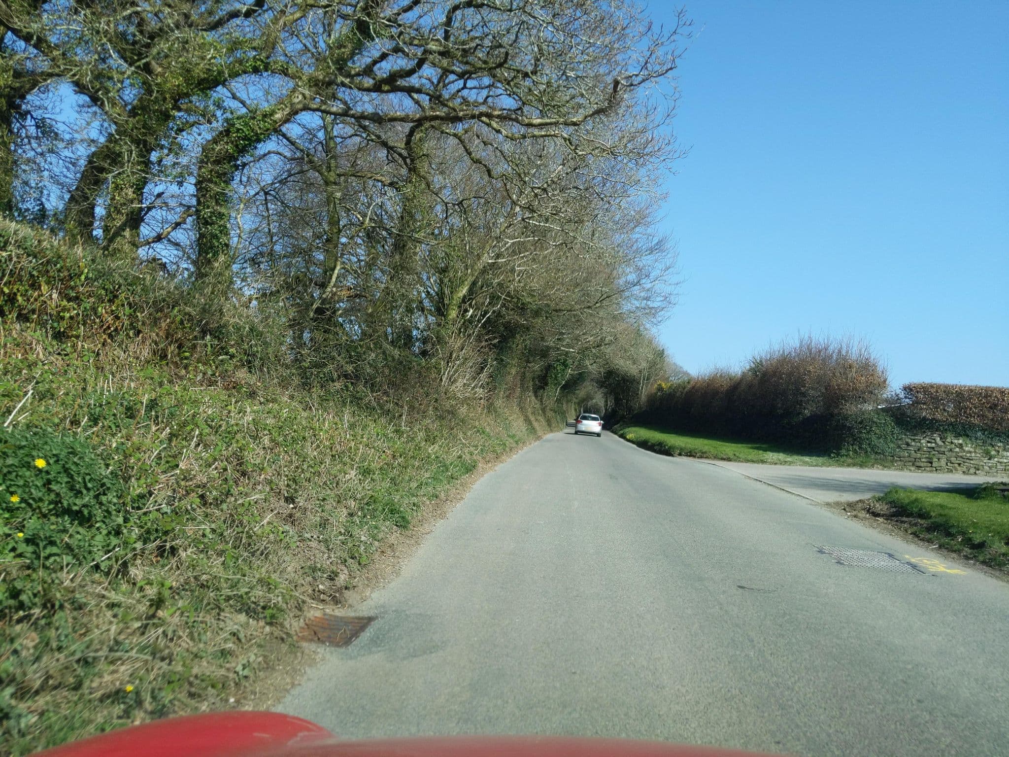 Street view near Dartmoor Caravan Park, Yelverton — © WaggyDog (CC BY-SA · Mapillary)