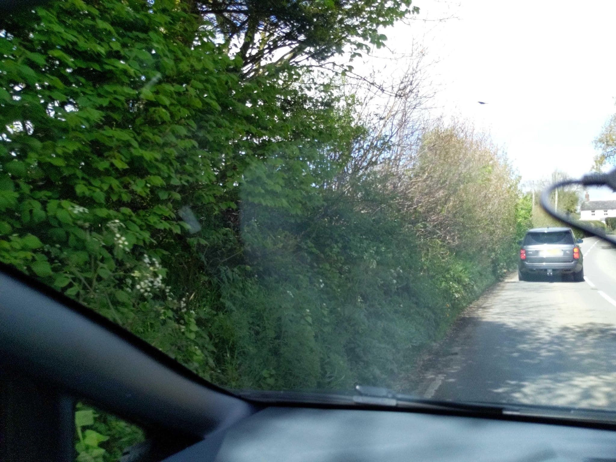 Street view near Alma, Hatherleigh — © WaggyDog (CC BY-SA · Mapillary)