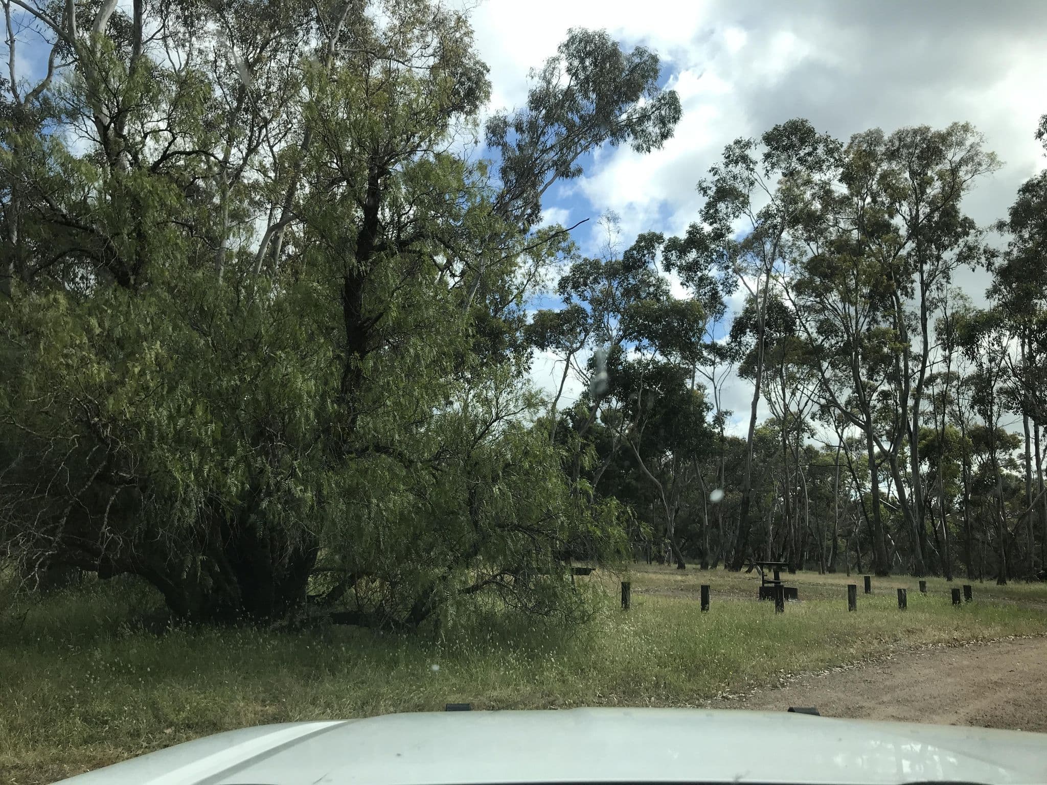 Street view near Baileys Rocks Campground, Penola — © WestWimmera (CC BY-SA · Mapillary)