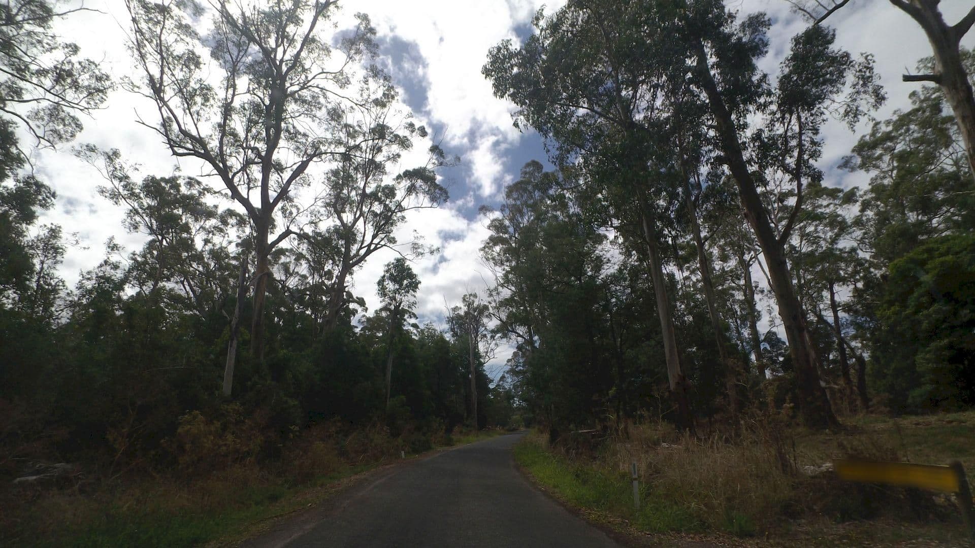 Street view near Bass Valley Camping Ground, Nyora — © mander (CC BY-SA · Mapillary)