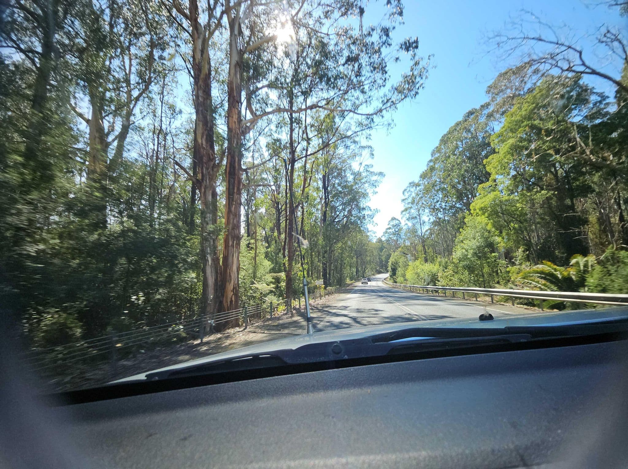 Street view near Bellbird Creek, Orbost — © warrandyte (CC BY-SA · Mapillary)