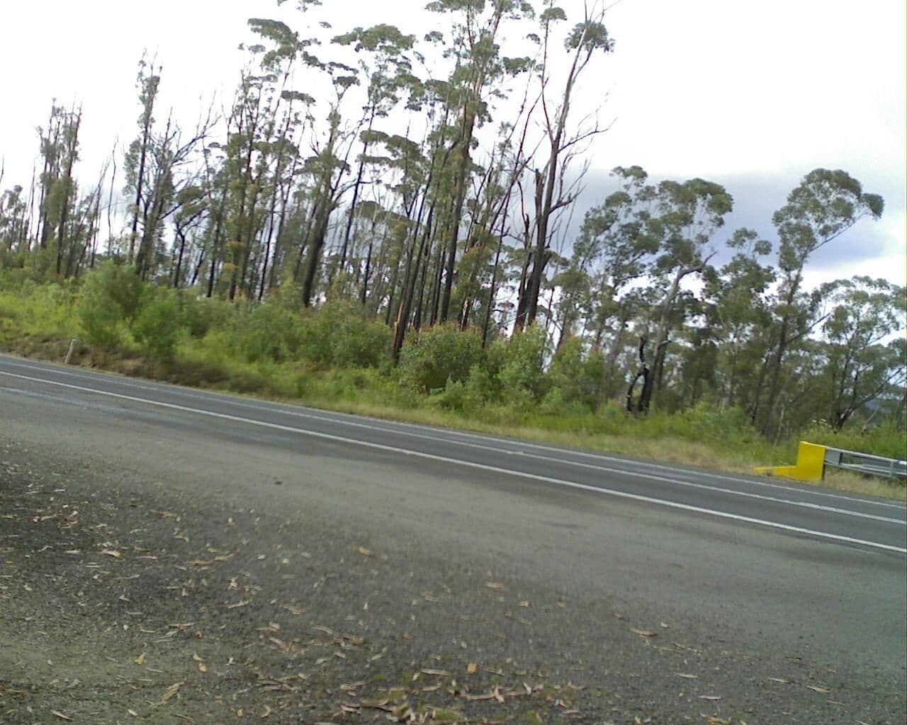 Street view near Brightlight Saddle Rest Area, Orbost — © bob3bob3 (CC BY-SA · Mapillary)