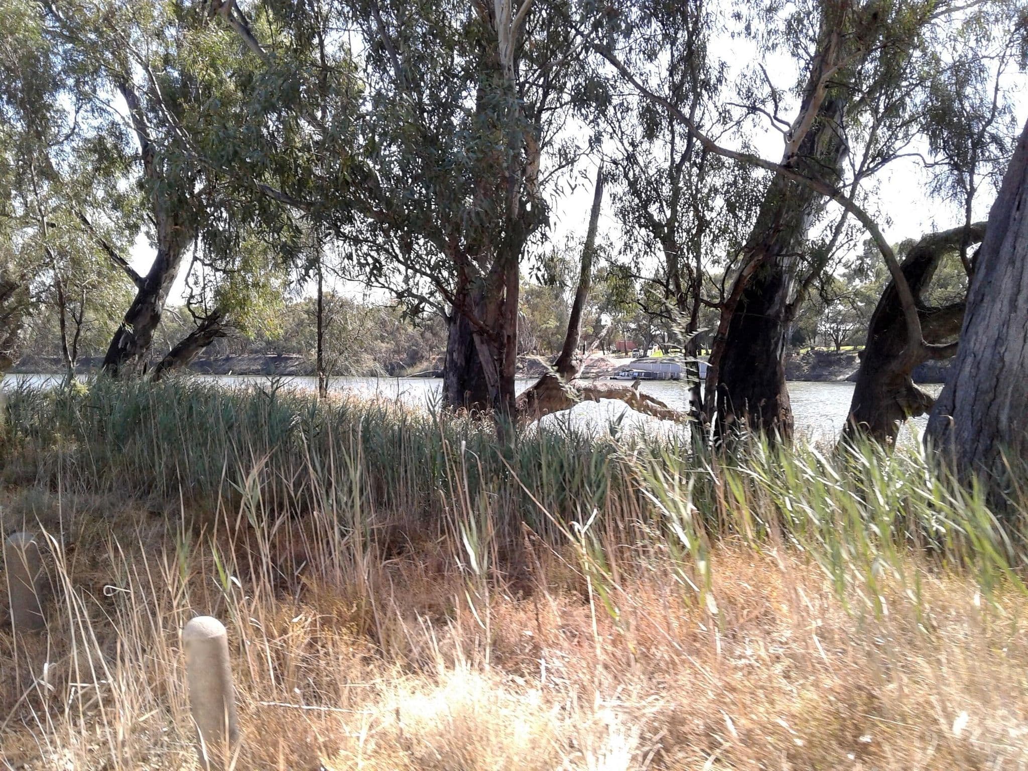 Street view near Horseshoe Bend, Merbein — © bob3bob3 (CC BY-SA · Mapillary)