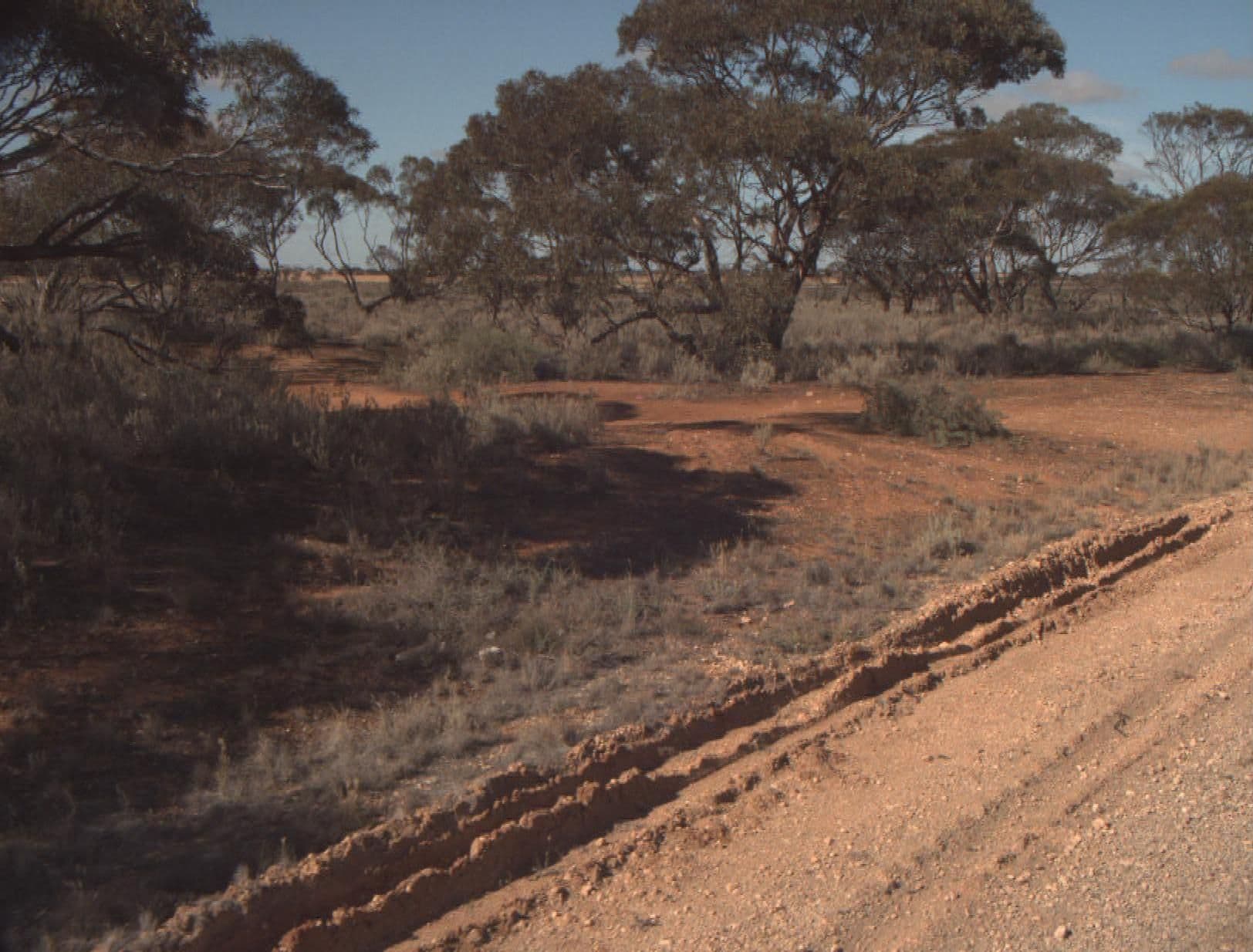 Street view near Piangil West Rest Area, Swan Hill — © vicroads (CC BY-SA · Mapillary)