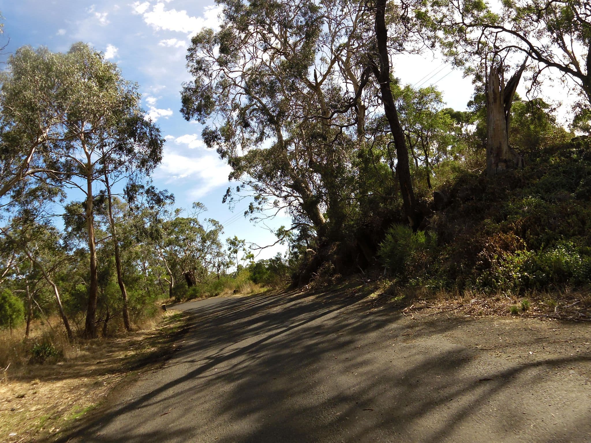 Street view near Pirron Yallock West Rest Area, Elliminyt — © skillsy (CC BY-SA · Mapillary)