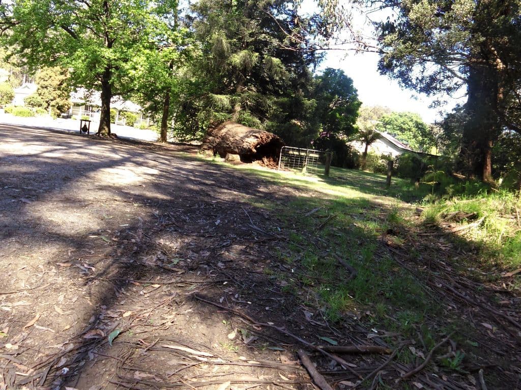 Street view near Powelltown Rest Area, Warburton — © mander (CC BY-SA · Mapillary)