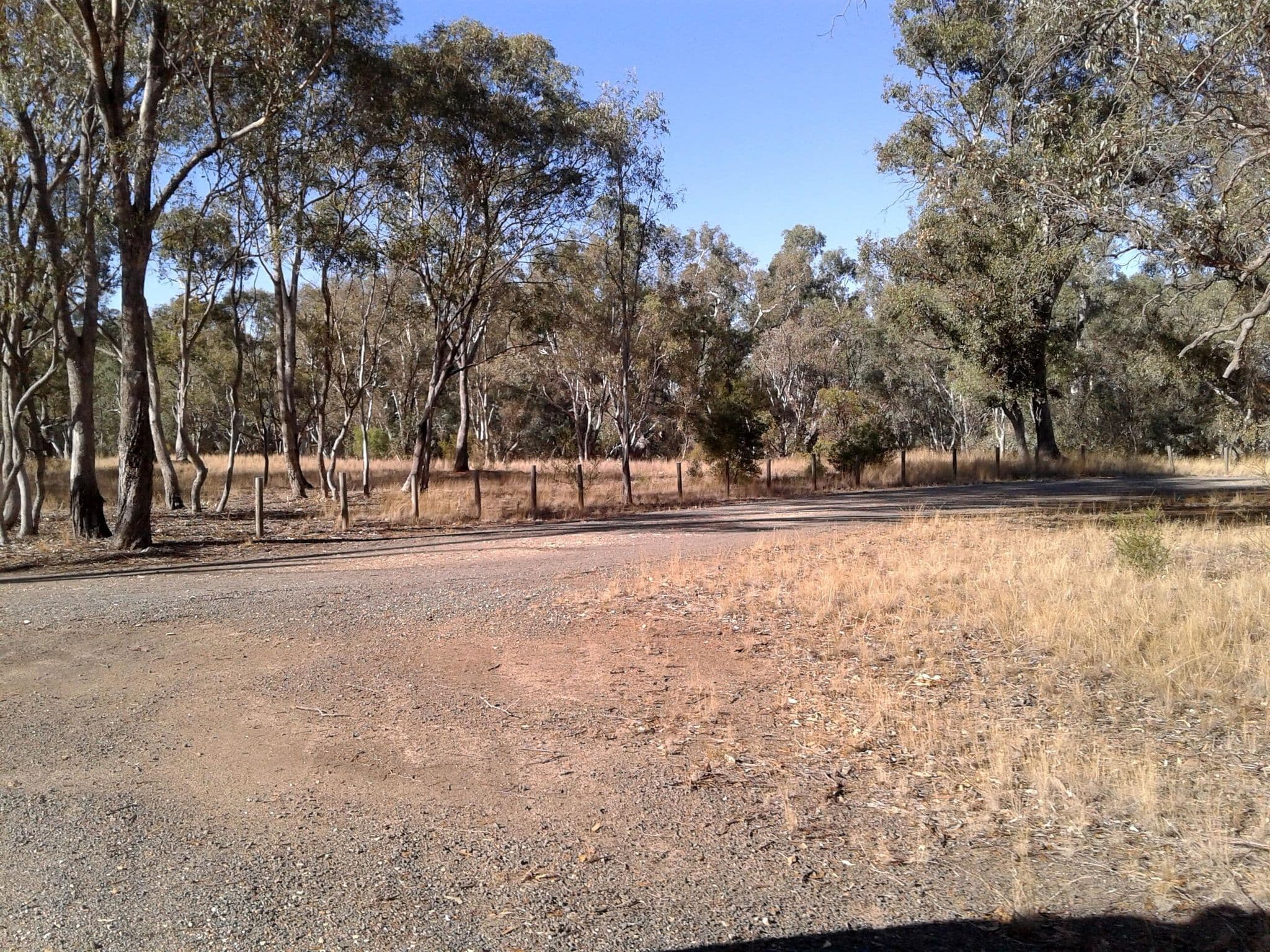 Street view near Runnymede Highway Park, Rochester — © bob3bob3 (CC BY-SA · Mapillary)