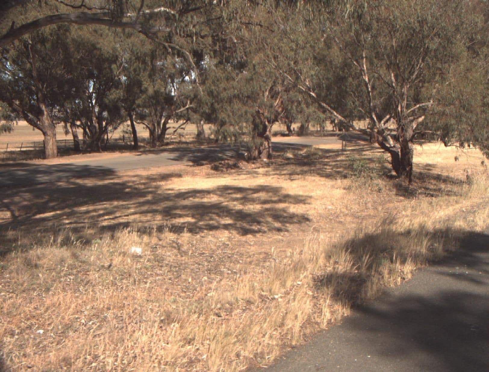 Street view near Ryan Creek Rest Area, Charlton — © vicroads (CC BY-SA · Mapillary)