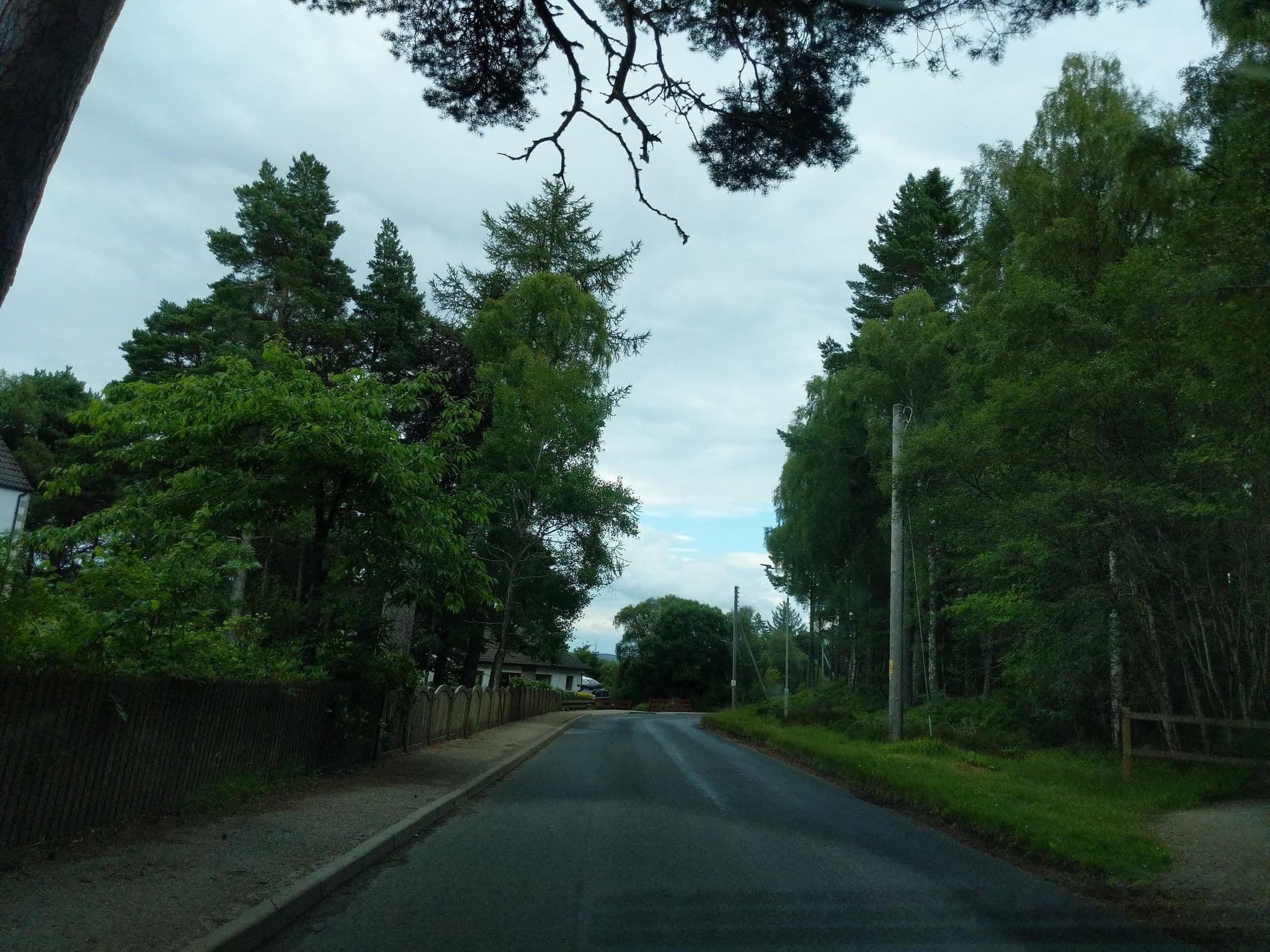 Street view near Melon Patch B&B, Aviemore — © ccbb7766 (CC BY-SA · Mapillary)