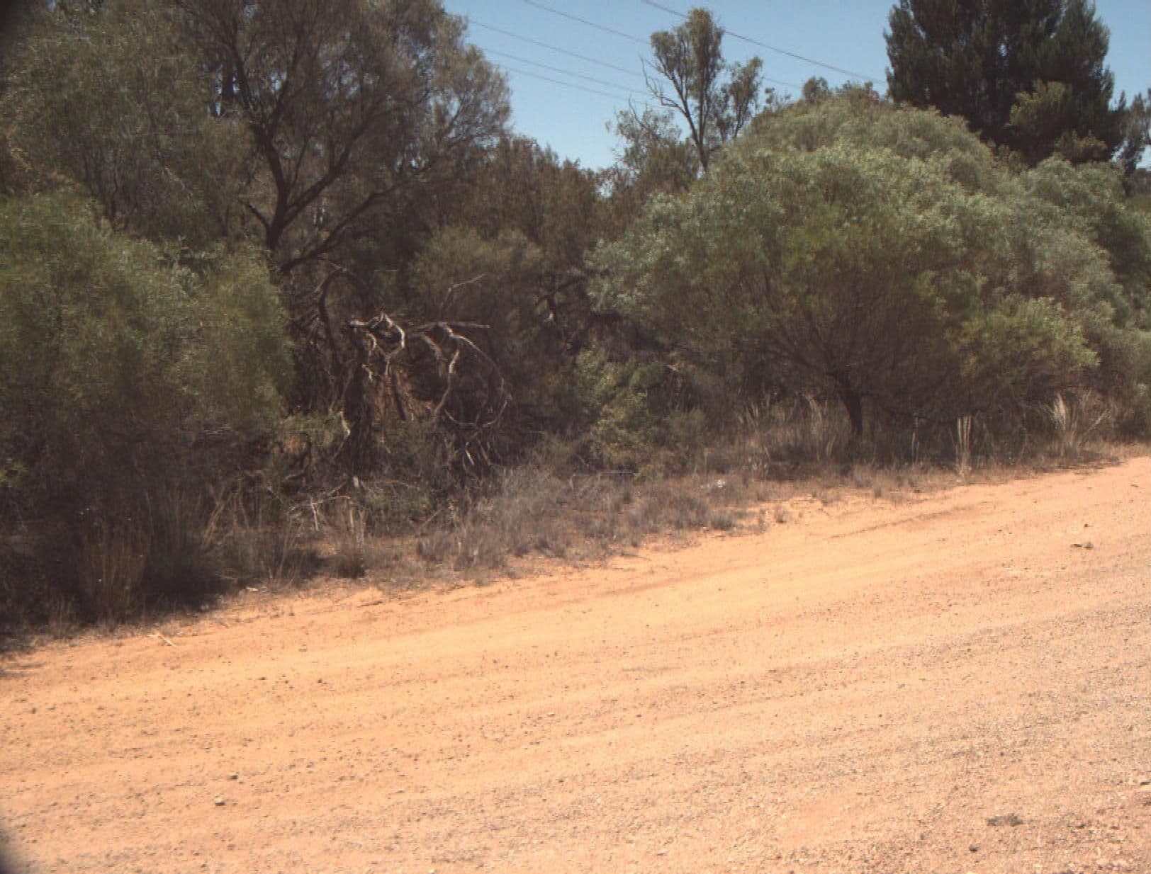 Street view near Wemen Rest Area, Robinvale — © vicroads (CC BY-SA · Mapillary)