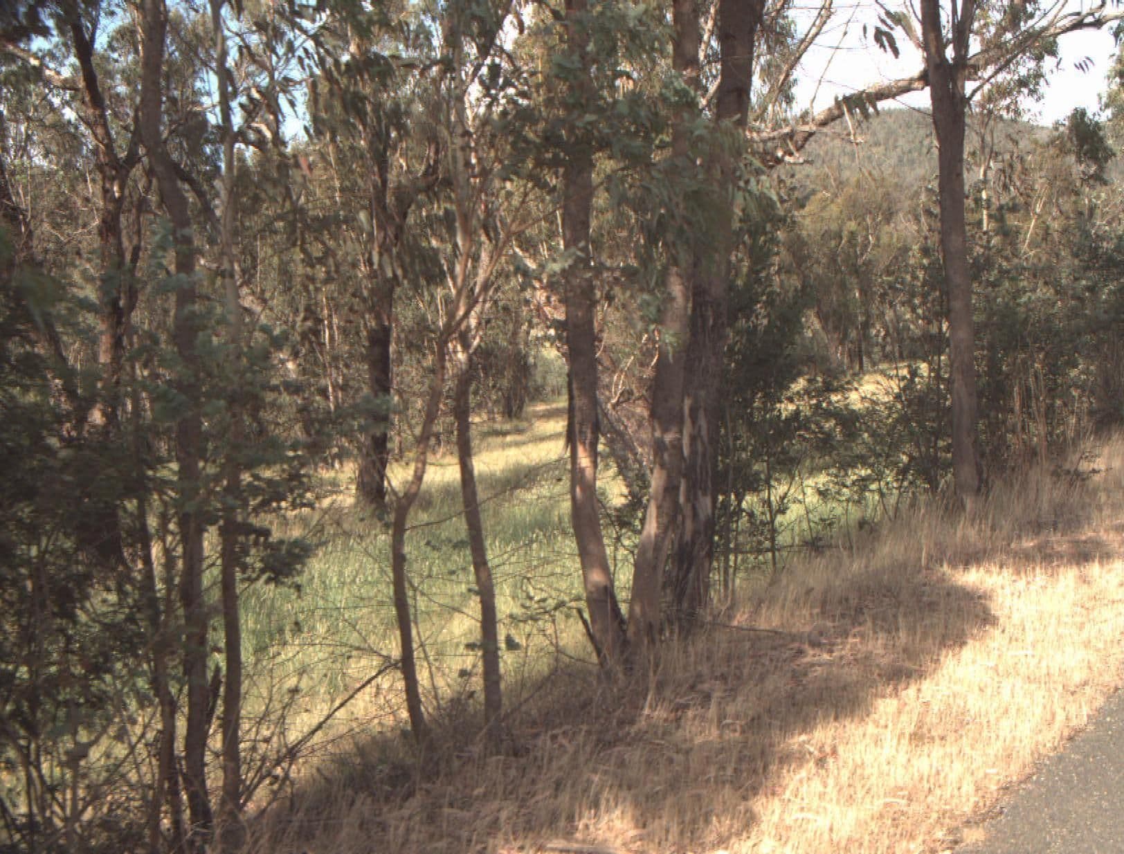 Street view near Barwidgee Rest Area, Myrtleford — © vicroads (CC BY-SA · Mapillary)