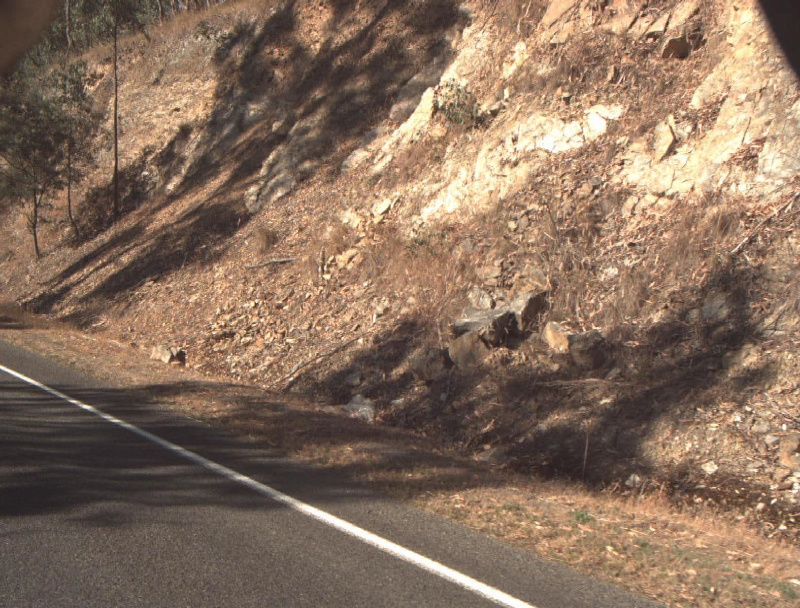 Street view near Edi Cutting, Myrtleford — © vicroads (CC BY-SA · Mapillary)