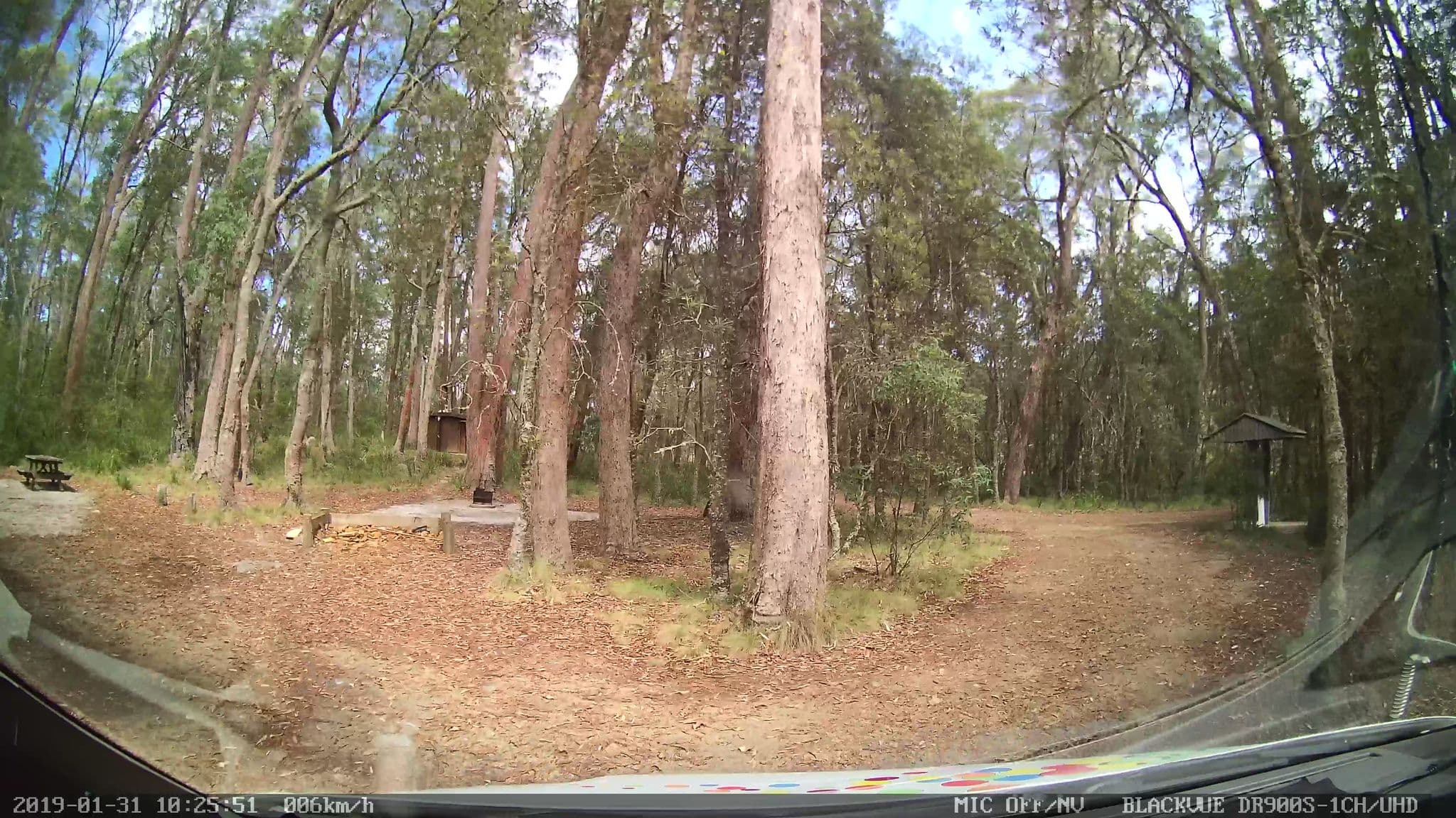 Street view near Barokee Campground, Dorrigo — © bob3bob3 (CC BY-SA · Mapillary)