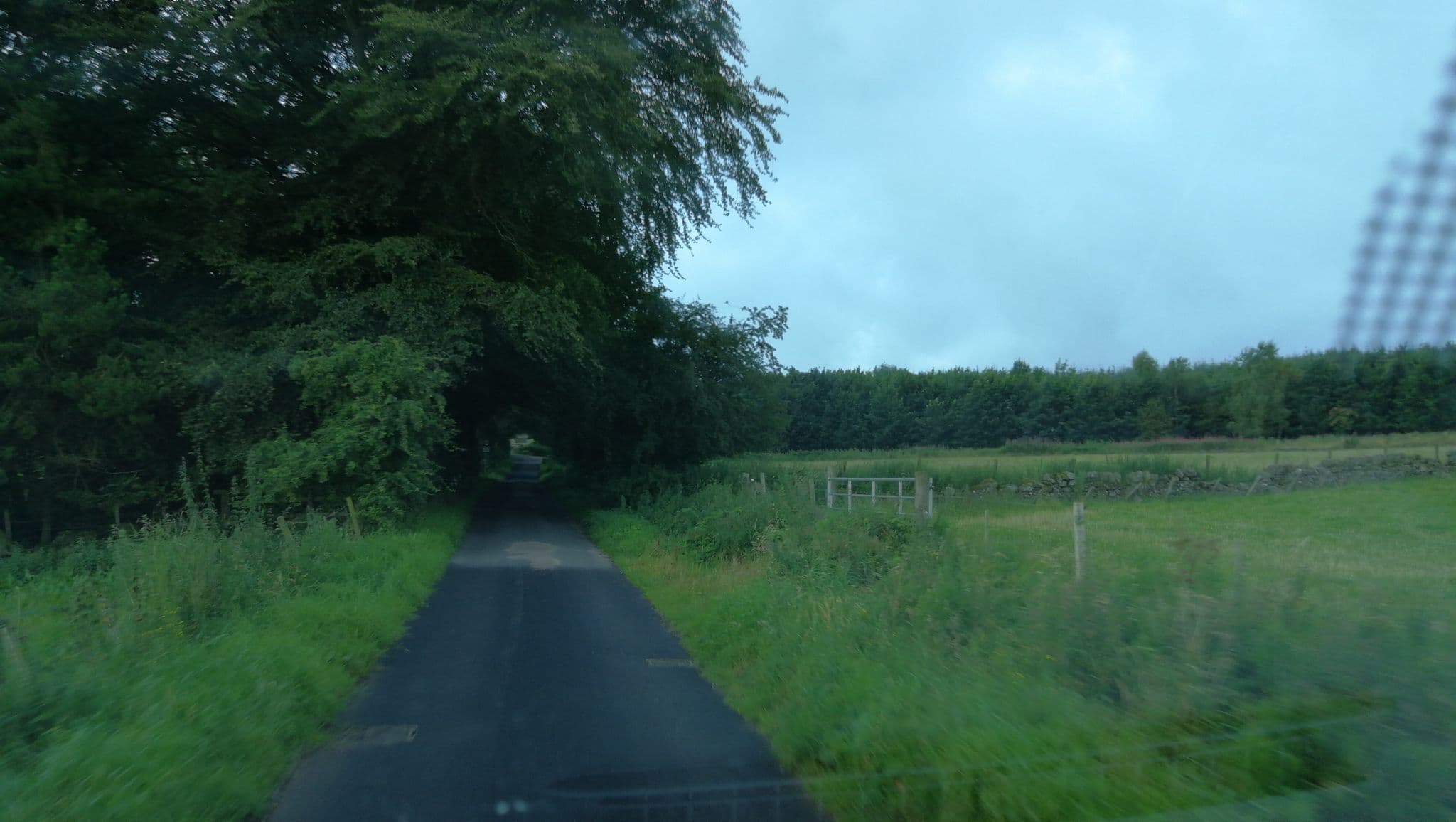 Street view near Pete Reilly, Alyth — © jerome_pietri (CC BY-SA · Mapillary)