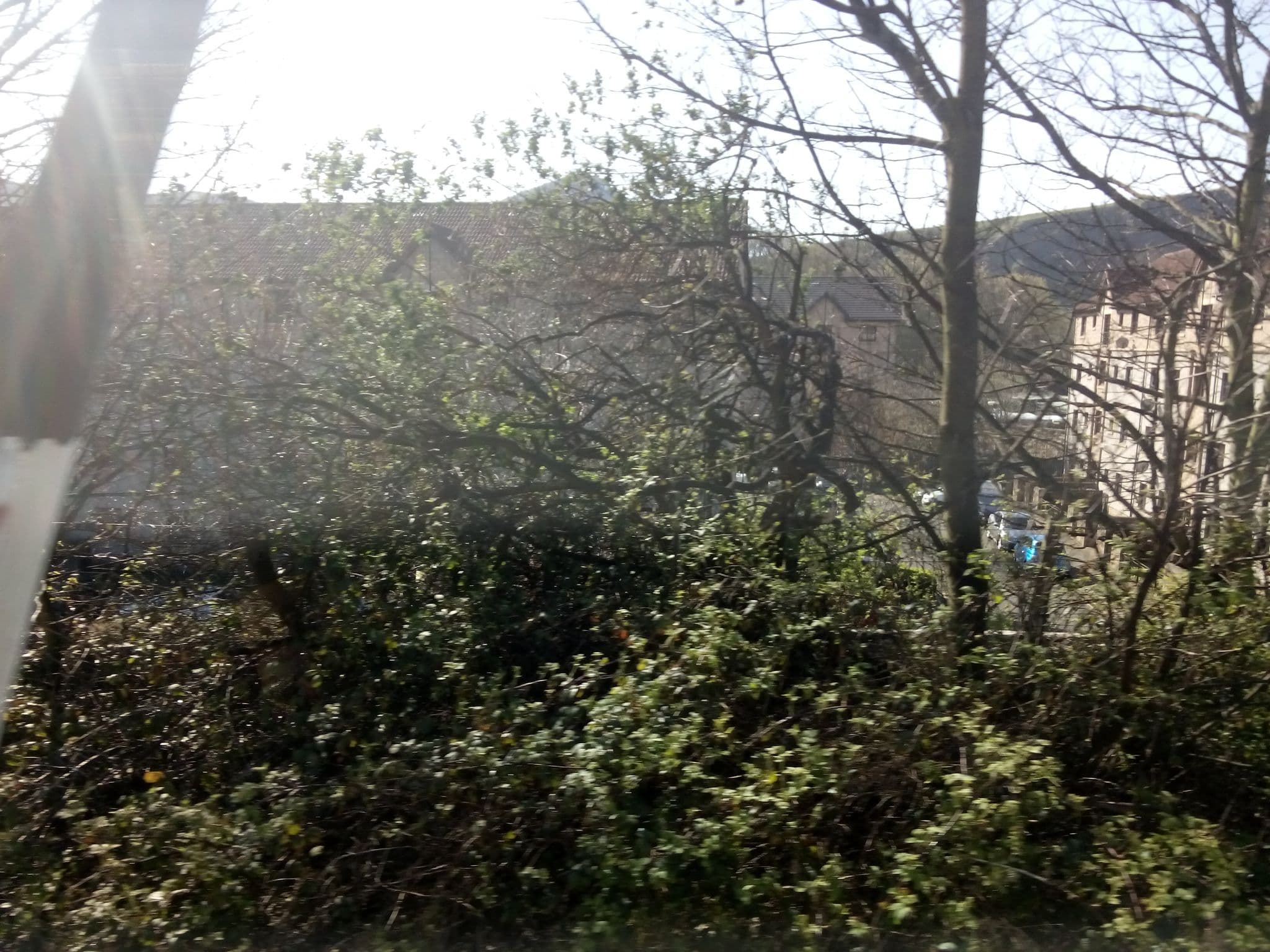Street view near Destiny Student Brae House, Edinburgh