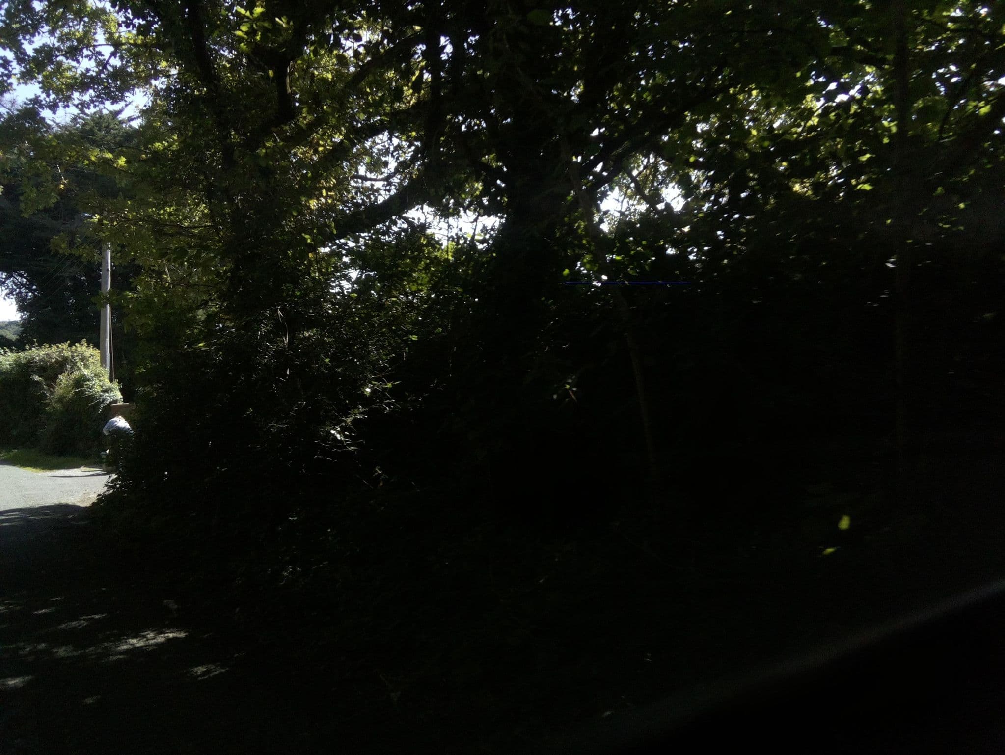 Street view near Cherry Orchard House B&B, Williton — © southglos (CC BY-SA · Mapillary)