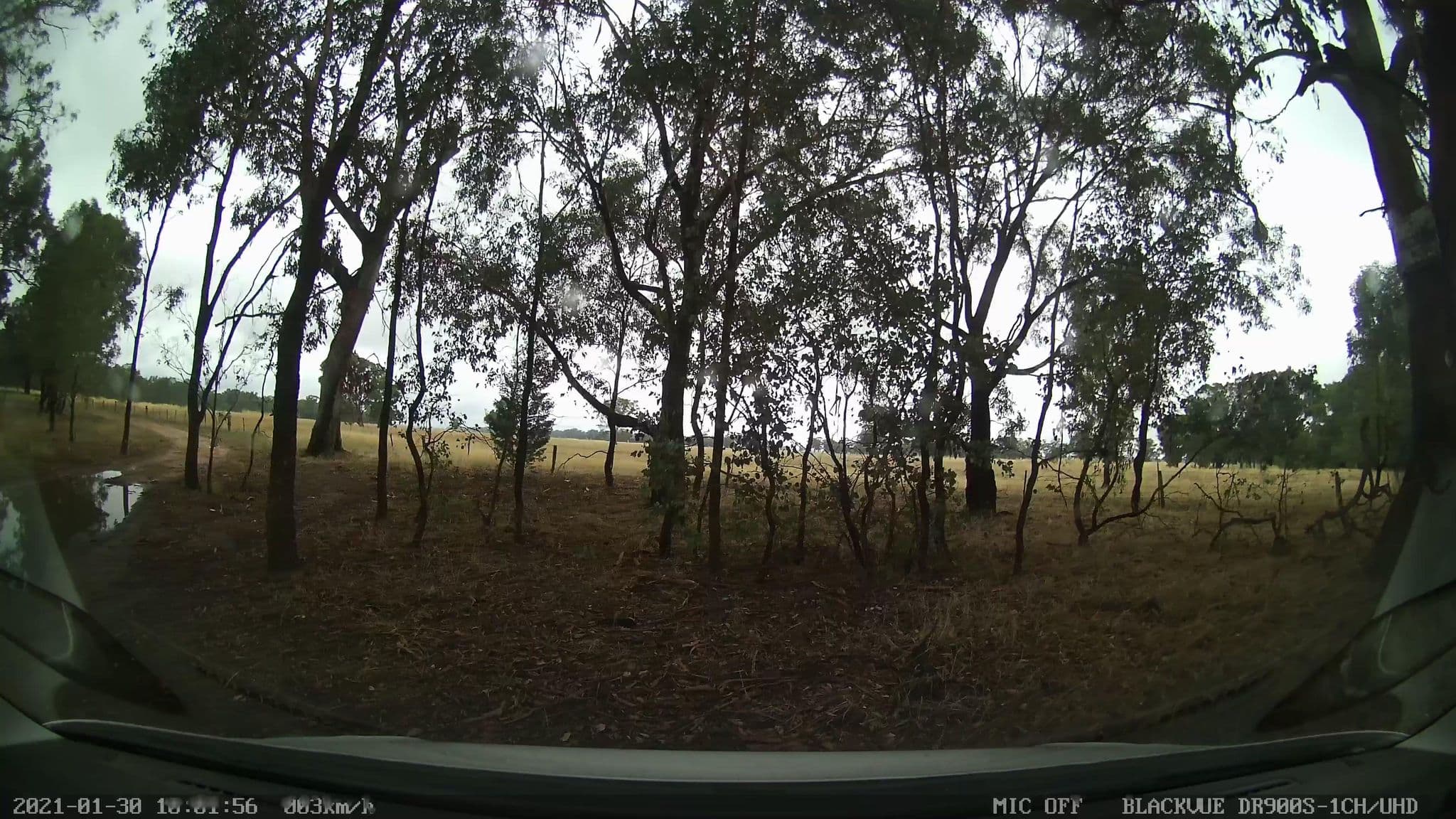 Street view near Billabong Creek, Culcairn — © bob3bob3 (CC BY-SA · Mapillary)
