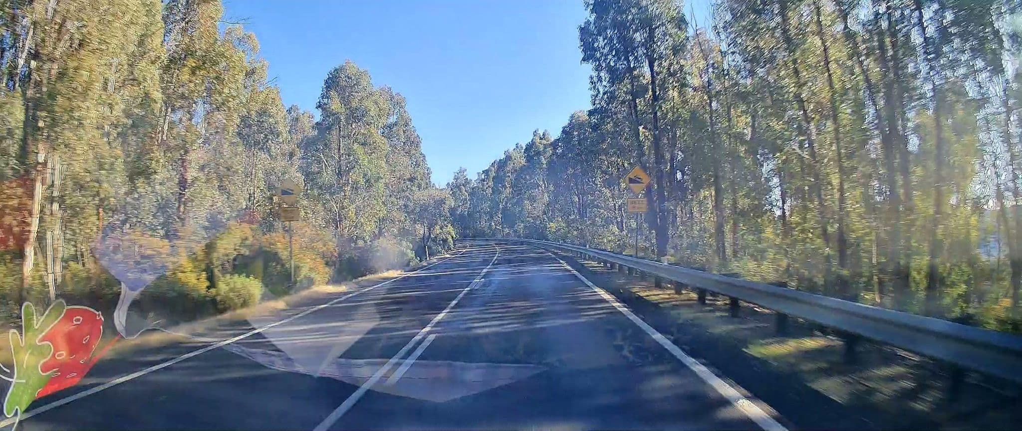 Street view near Black Perry Rest Area, Batlow — © maxim752 (CC BY-SA · Mapillary)