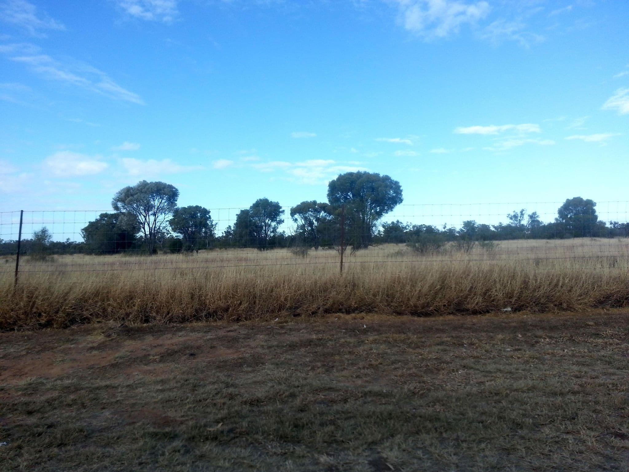 Street view near Blackall East Rest Area, Blackall — © bob3bob3 (CC BY-SA · Mapillary)