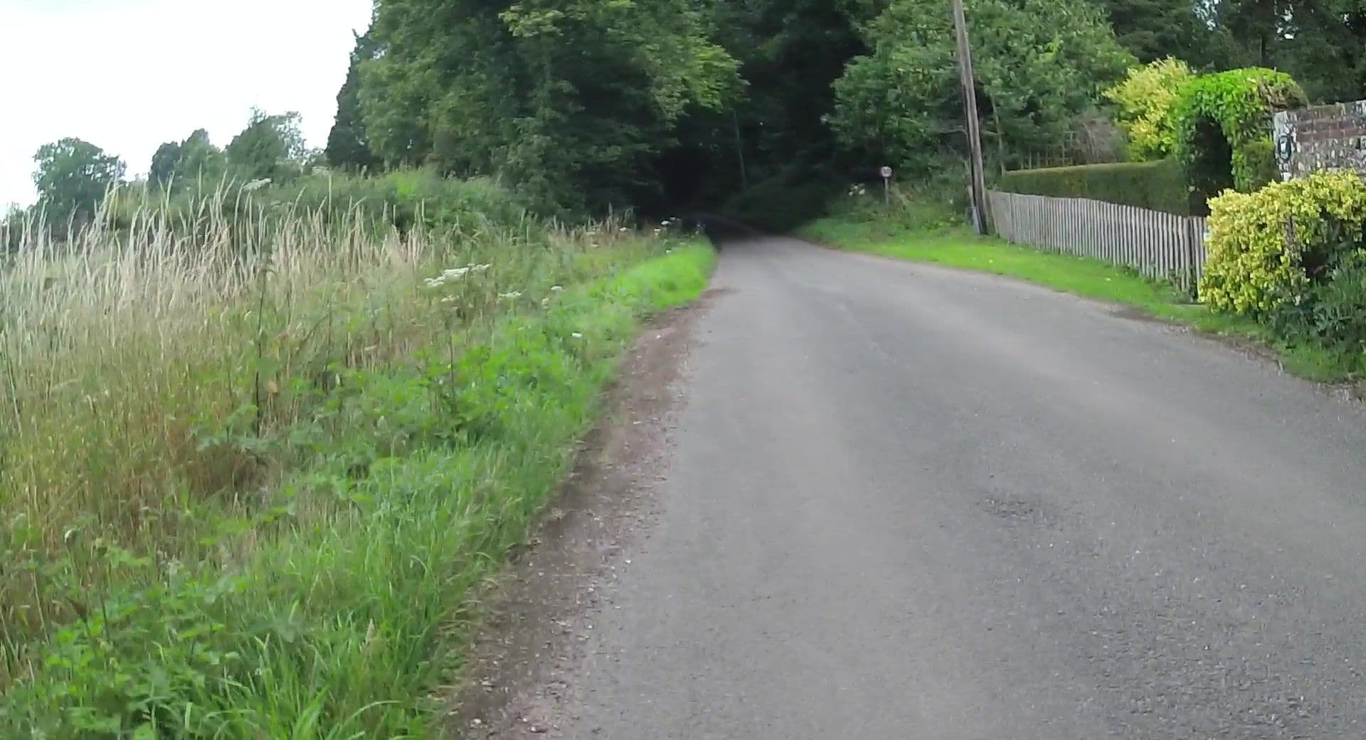 Street view near Dean Farm, New Alresford — © jpennycook (CC BY-SA · Mapillary)