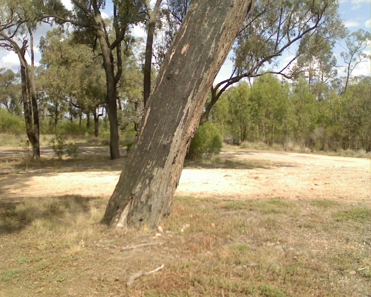 Street view near Cassilis Park Rest Area, Coolah — © bob3bob3 (CC BY-SA · Mapillary)