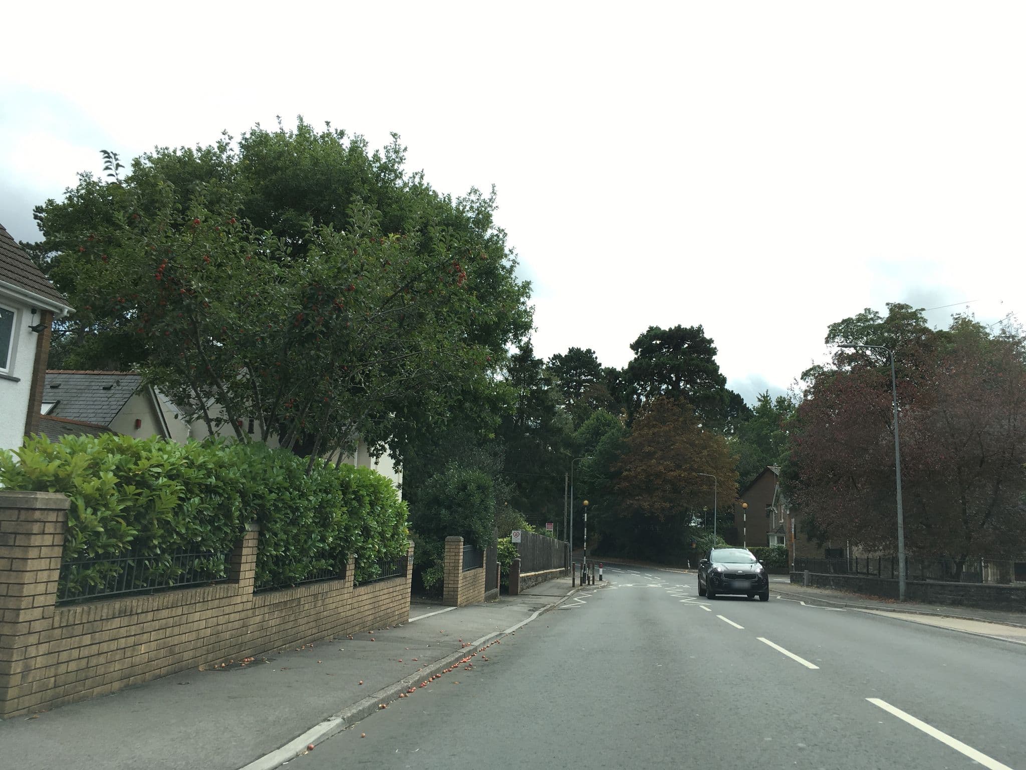 Street view near Ty Mynydd Lodge, Radyr — © southglos (CC BY-SA · Mapillary)