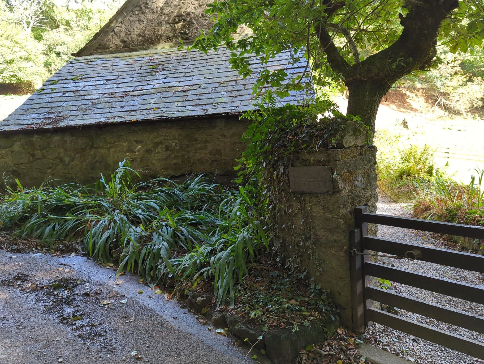 Street view near Myrtle Grove, Wadebridge — © treestryder (CC BY-SA · Mapillary)