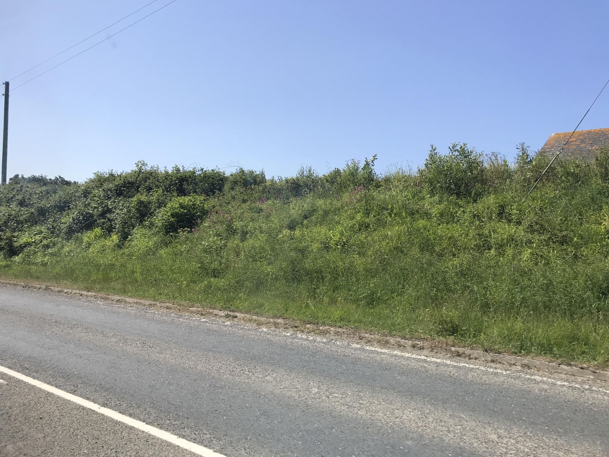 Street view near Bangors Organic Guest House, Bude — © miguel_andrade (CC BY-SA · Mapillary)