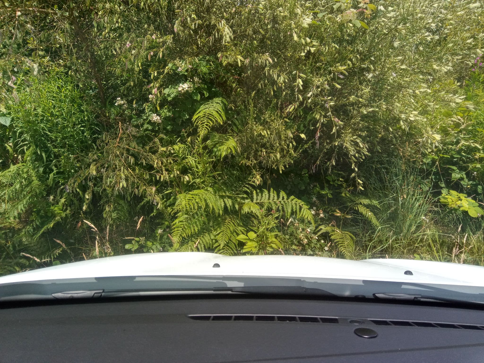 Street view near Falls of Leny Campsite, Callander — © victuallers (CC BY-SA · Mapillary)
