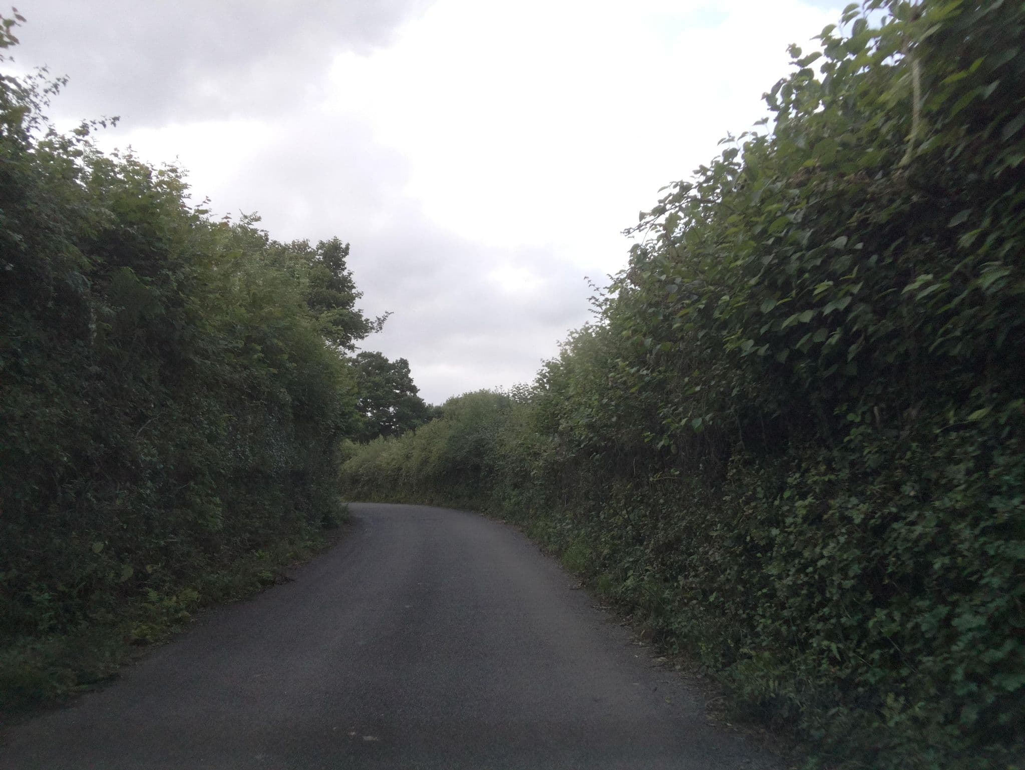 Street view near Medley Meadow, Raglan — © southglos (CC BY-SA · Mapillary)