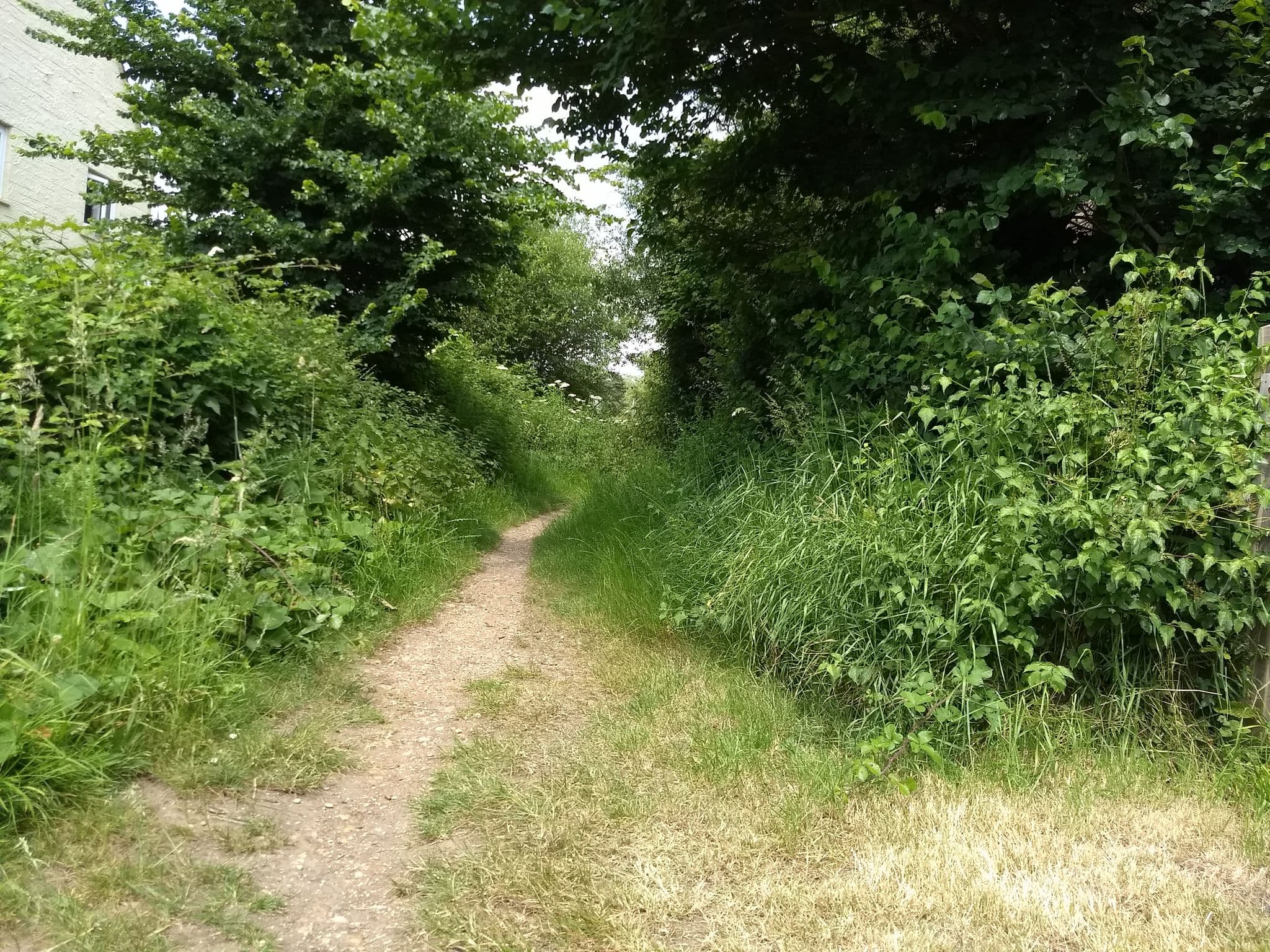 Street view near Seaview Holidays, Seaview — © mappernerd (CC BY-SA · Mapillary)