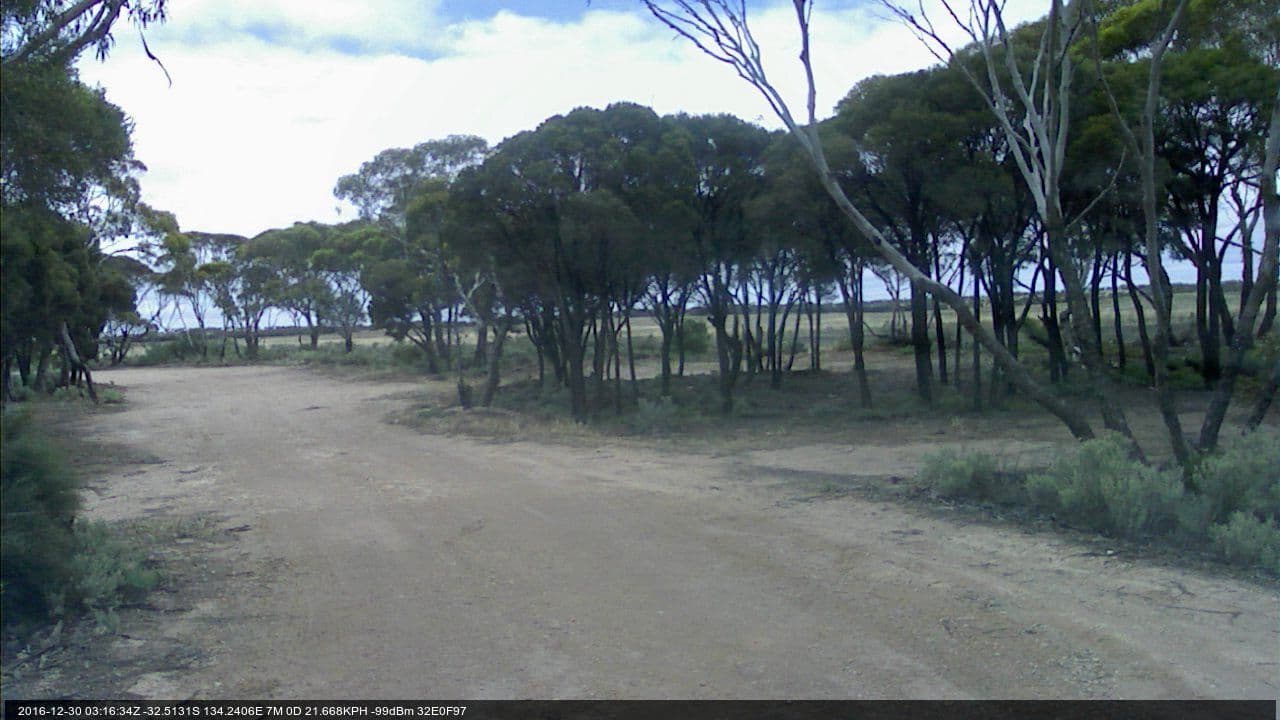 Street view near Haslam Rest Area, Streaky Bay — © bob3bob3 (CC BY-SA · Mapillary)