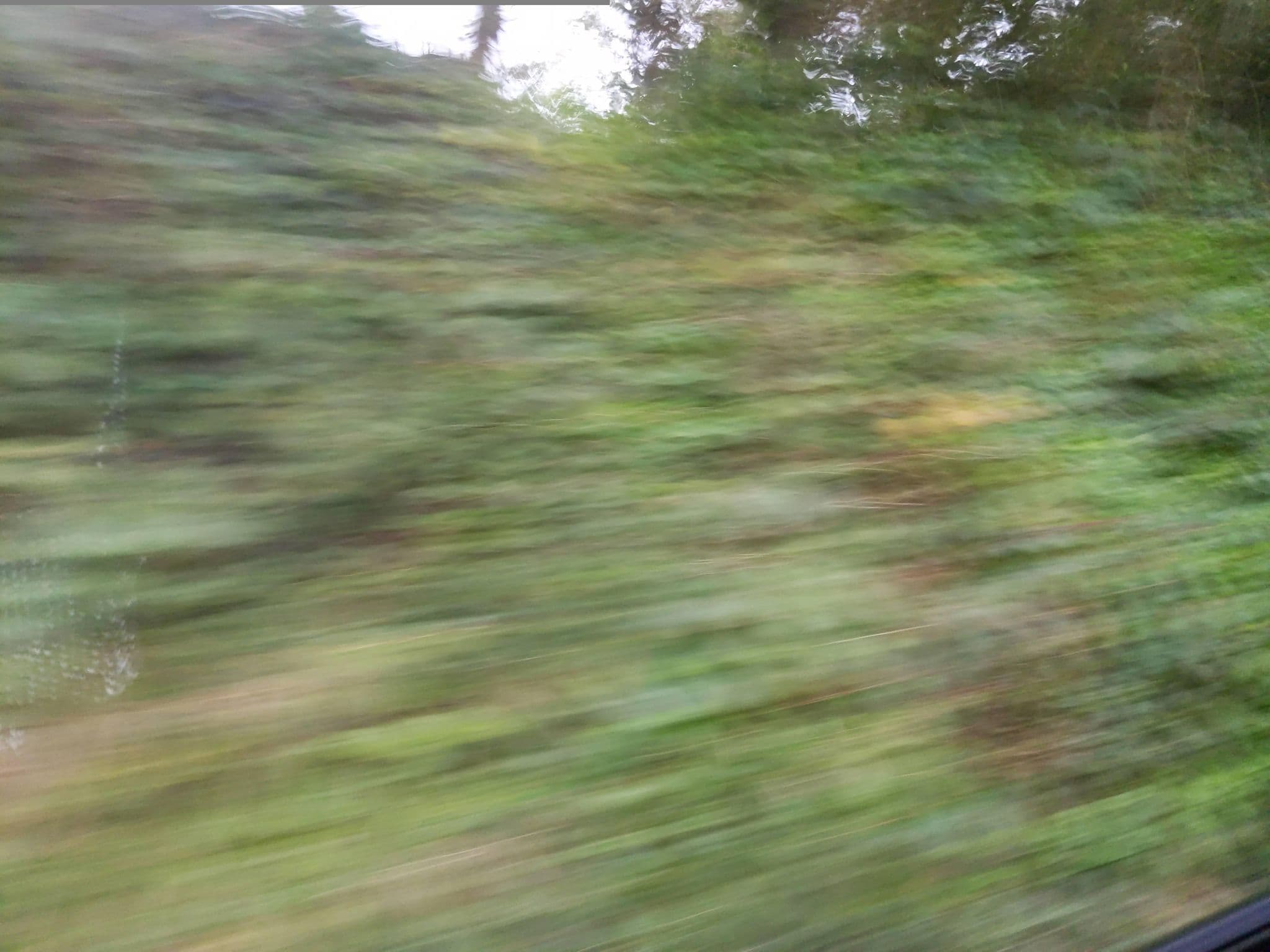 Street view near Polruan Holiday Centre, Fowey — © WaggyDog (CC BY-SA · Mapillary)