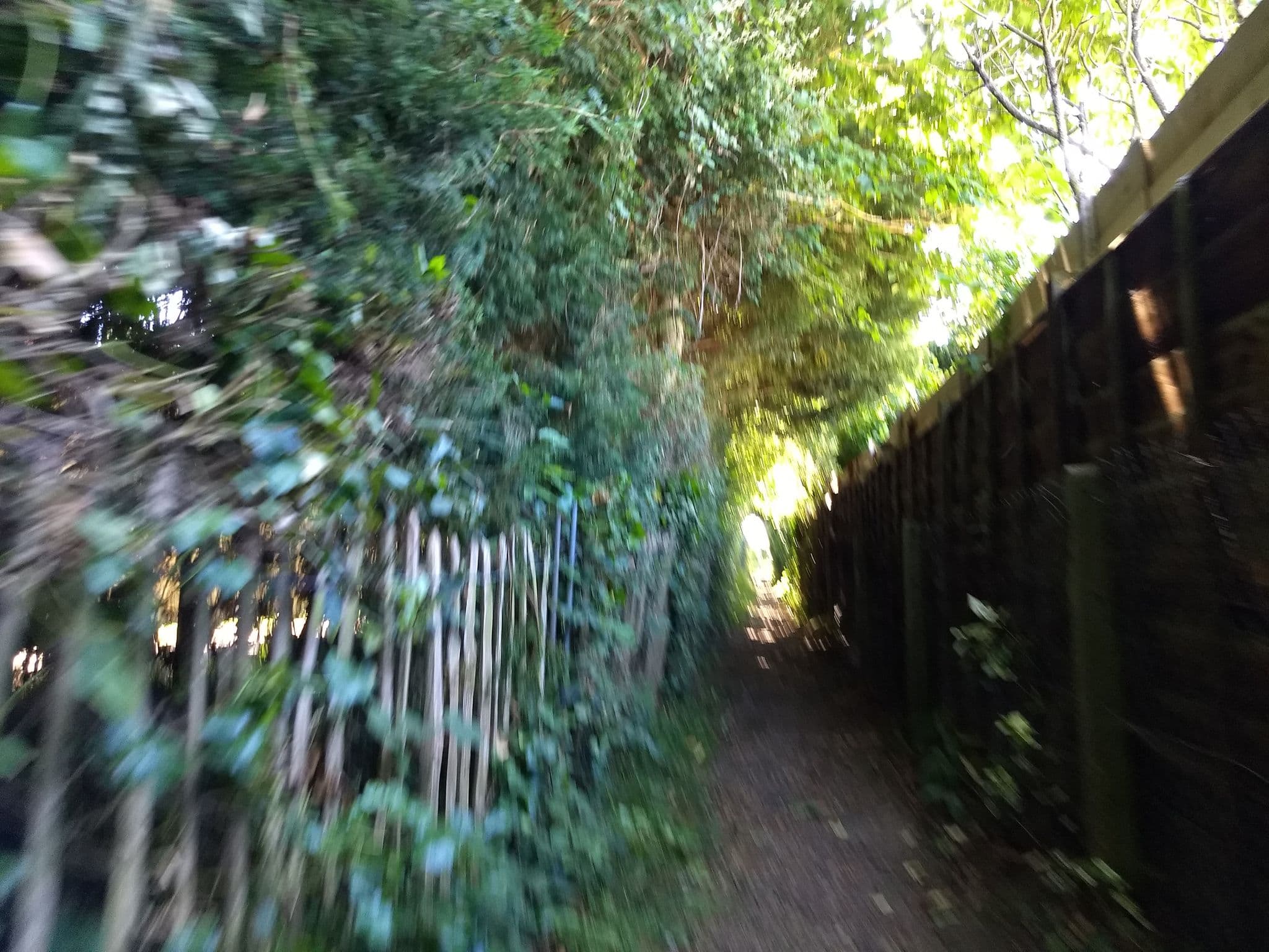 Street view near Appley Manor Hotel, Ryde — © mappernerd (CC BY-SA · Mapillary)