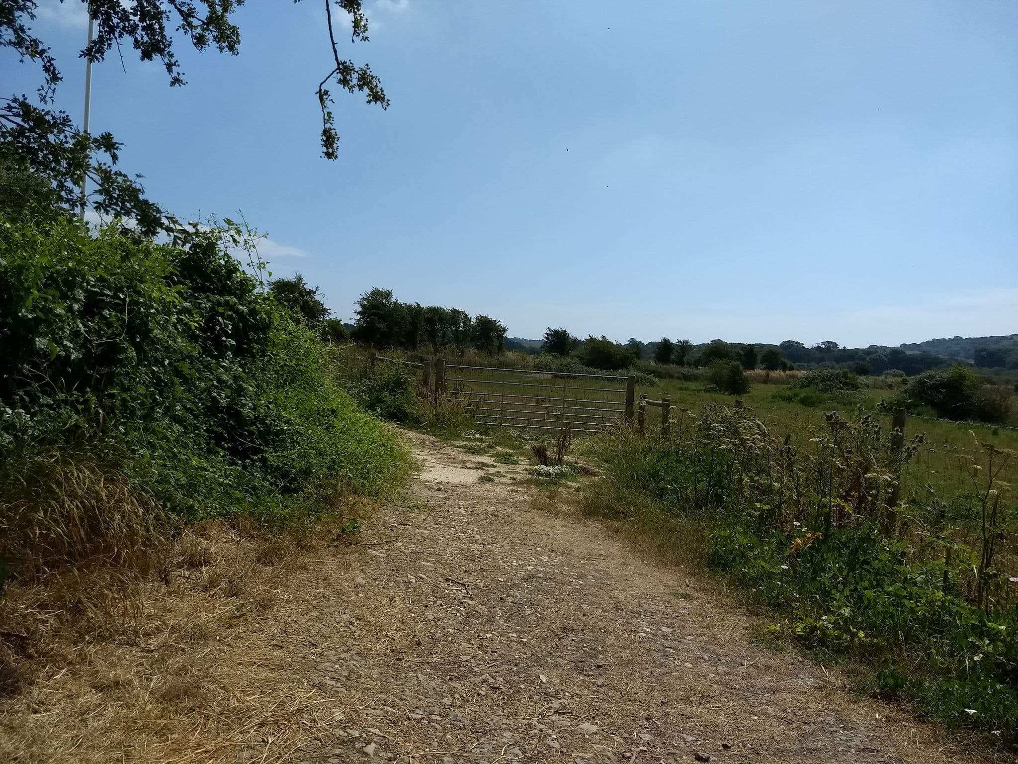 Street view near The Lodge On The Marsh, Brading — © mappernerd (CC BY-SA · Mapillary)