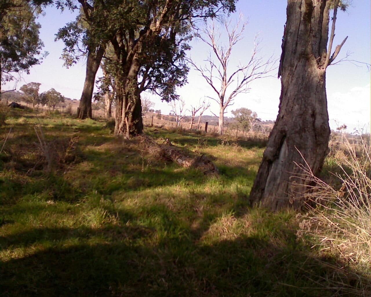 Street view near Little Creek Reserve, Barraba — © bob3bob3 (CC BY-SA · Mapillary)