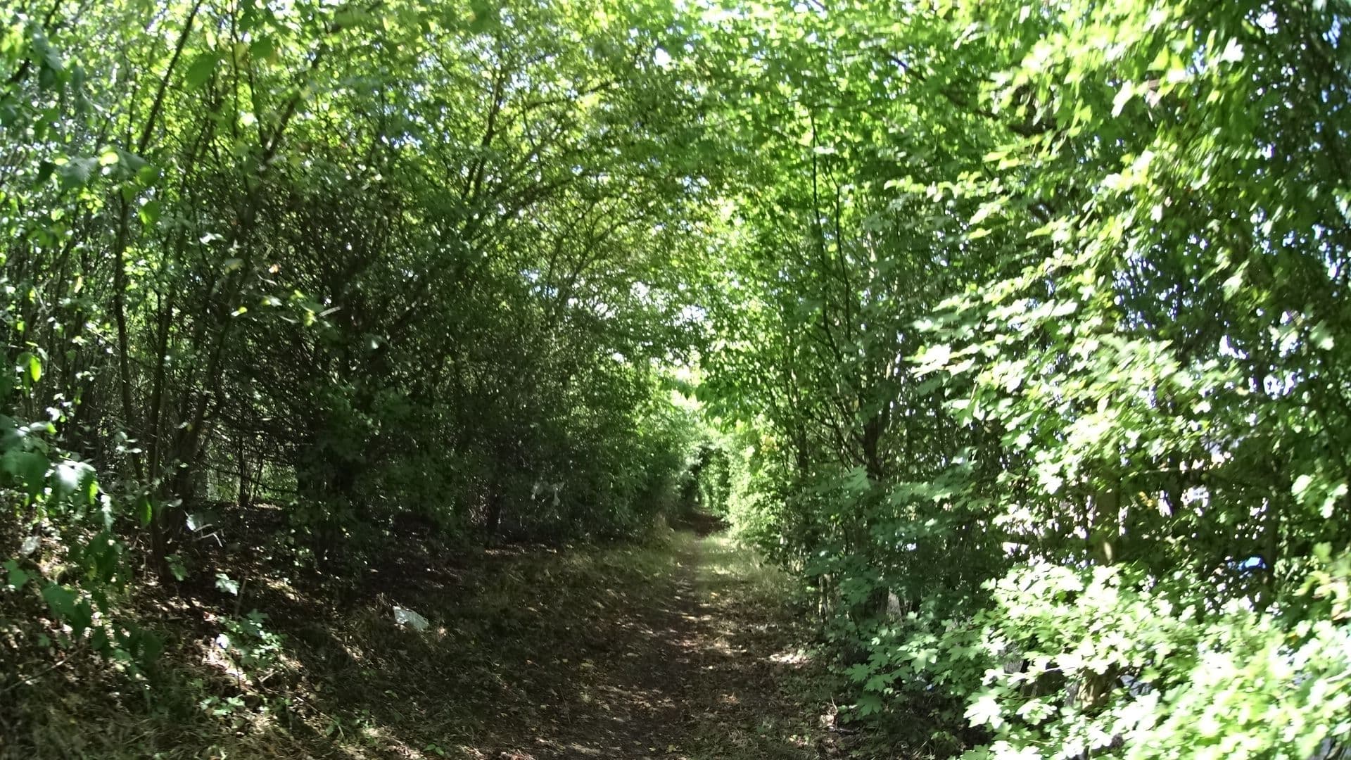 Street view near Premier Inn, Whitstable — © gregorywilliams (CC BY-SA · Mapillary)