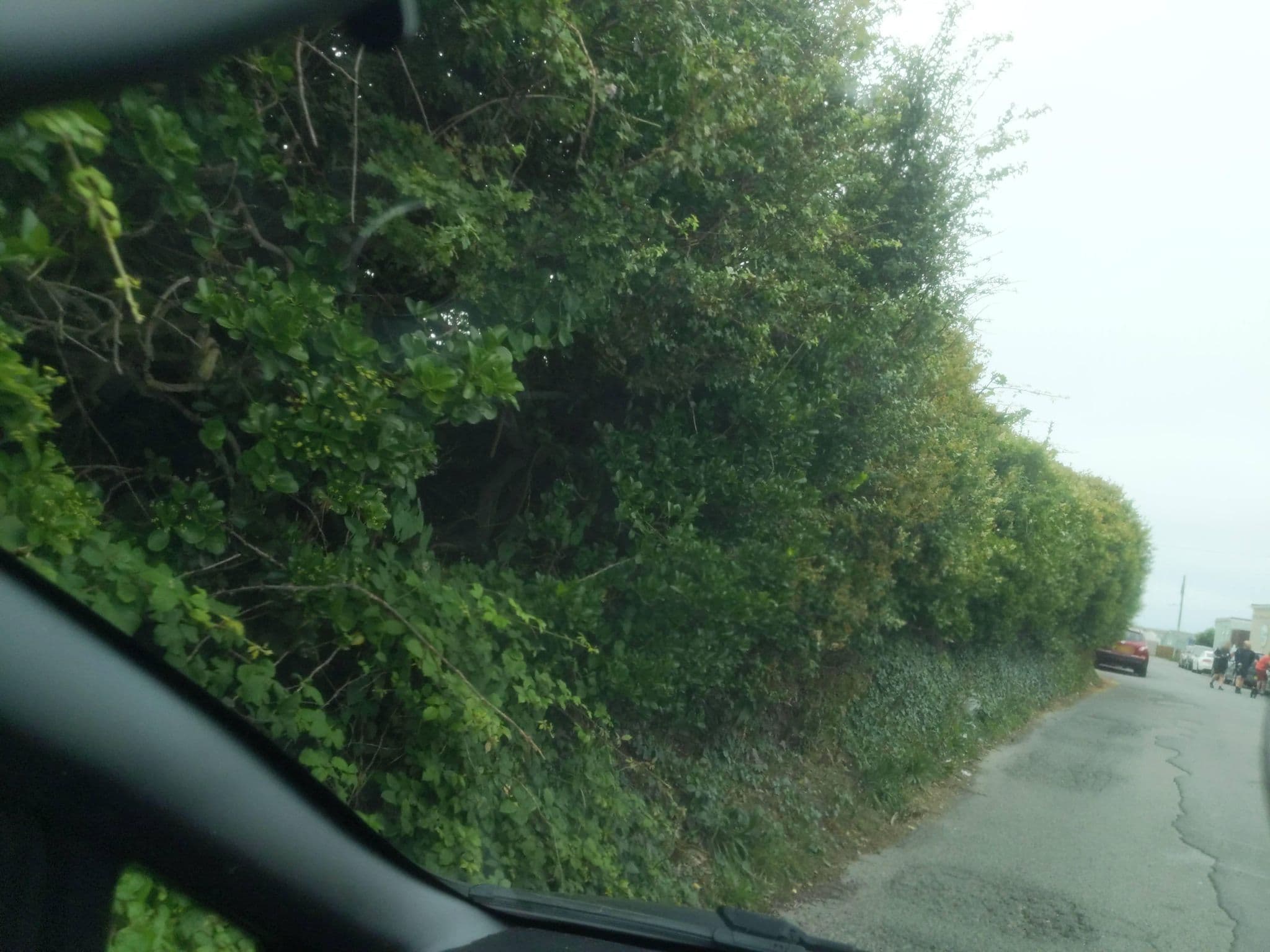 Street view near Braddicks Holidays, Northam — © WaggyDog (CC BY-SA · Mapillary)