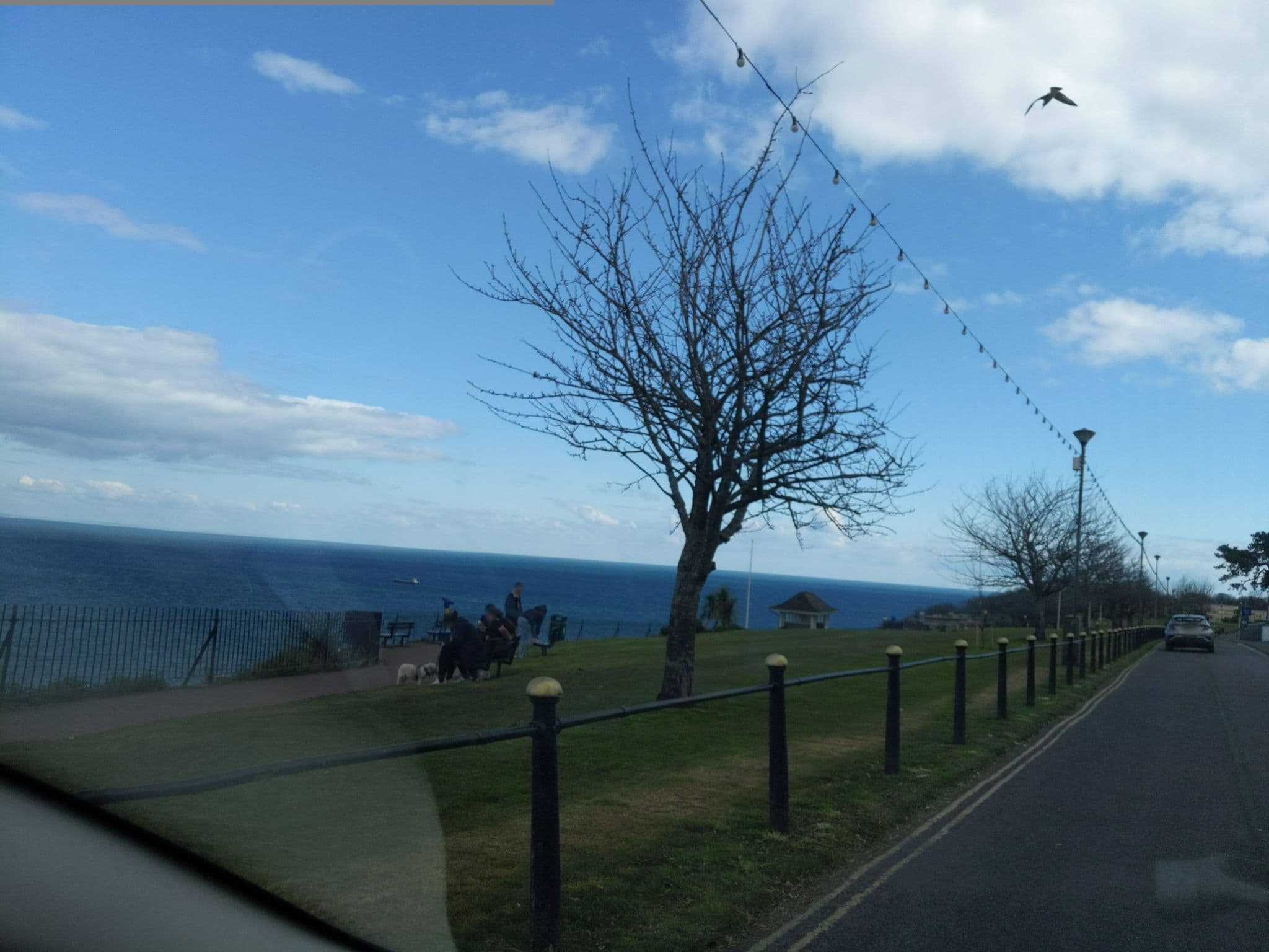 Street view near The Morningside Hotel, Torquay — © WaggyDog (CC BY-SA · Mapillary)