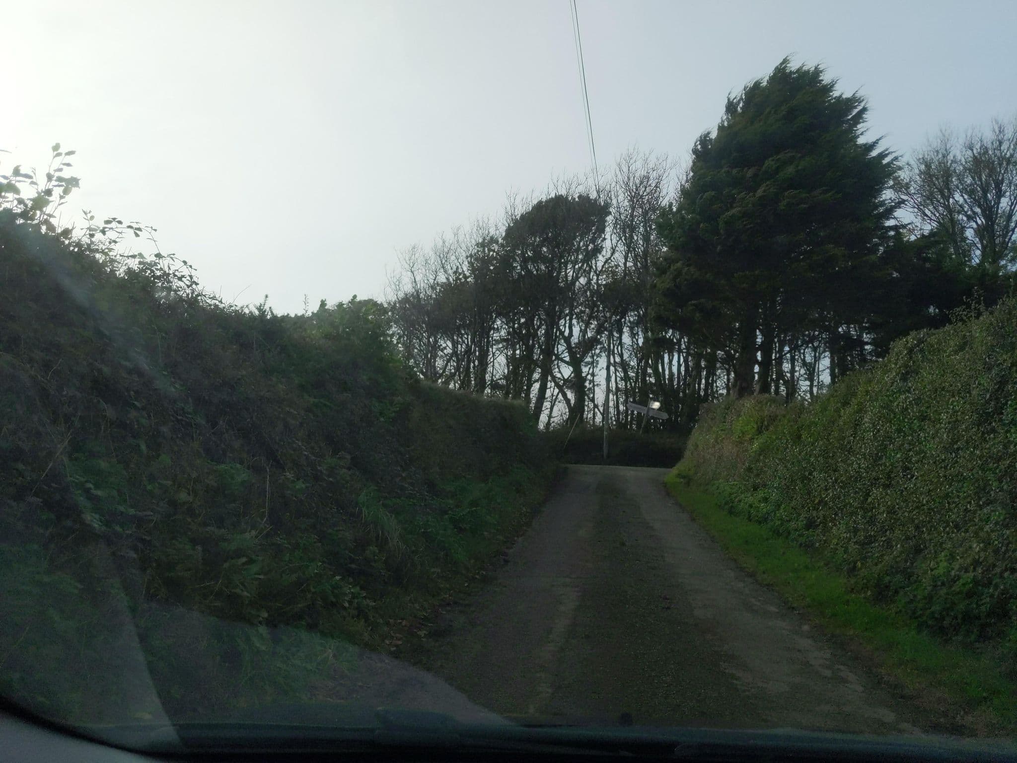 Street view near Bucklawren Farm B&B, Looe — © WaggyDog (CC BY-SA · Mapillary)