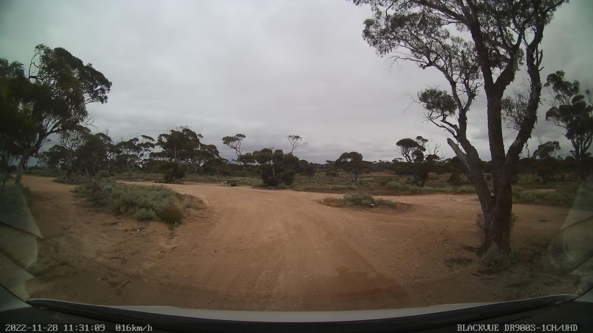 Street view near Nundroo East Rest Area, Ceduna — © bob3bob3 (CC BY-SA · Mapillary)