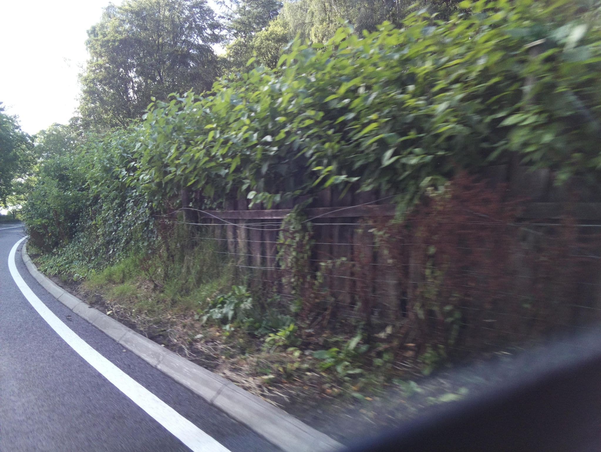 Street view near Corrieview Lodges, Caol