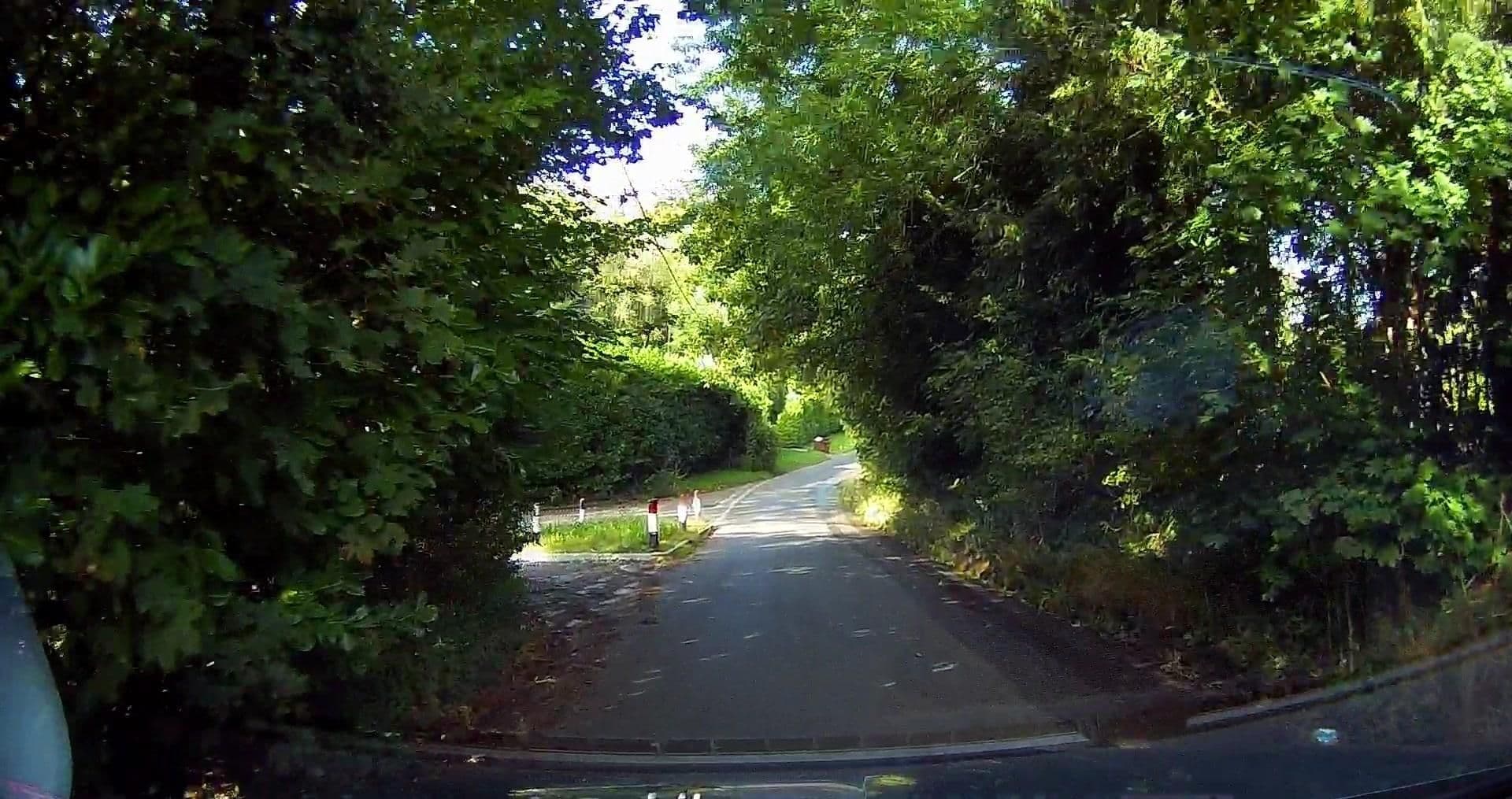 Street view near Brandshatch Place Hotel, West Kingsdown — © tallguy (CC BY-SA · Mapillary)
