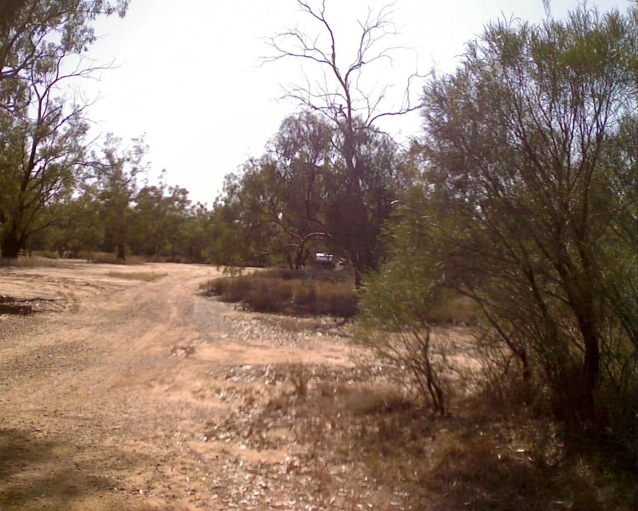 Street view near Paroo River, Cunnamulla — © bob3bob3 (CC BY-SA · Mapillary)