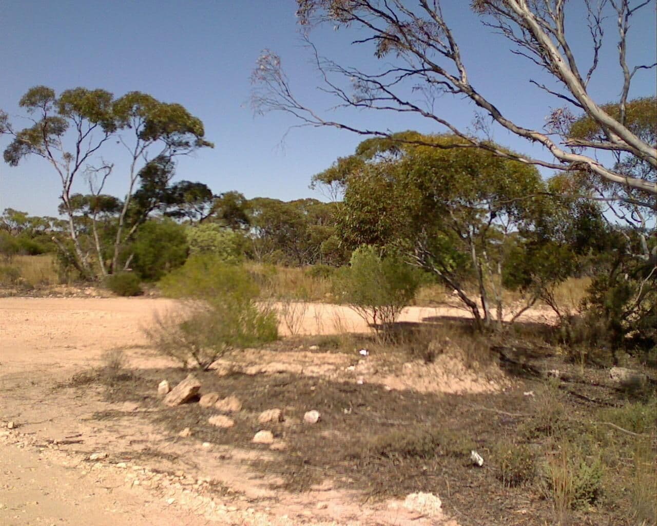 Street view near Poochera Rest Area, Streaky Bay — © bob3bob3 (CC BY-SA · Mapillary)