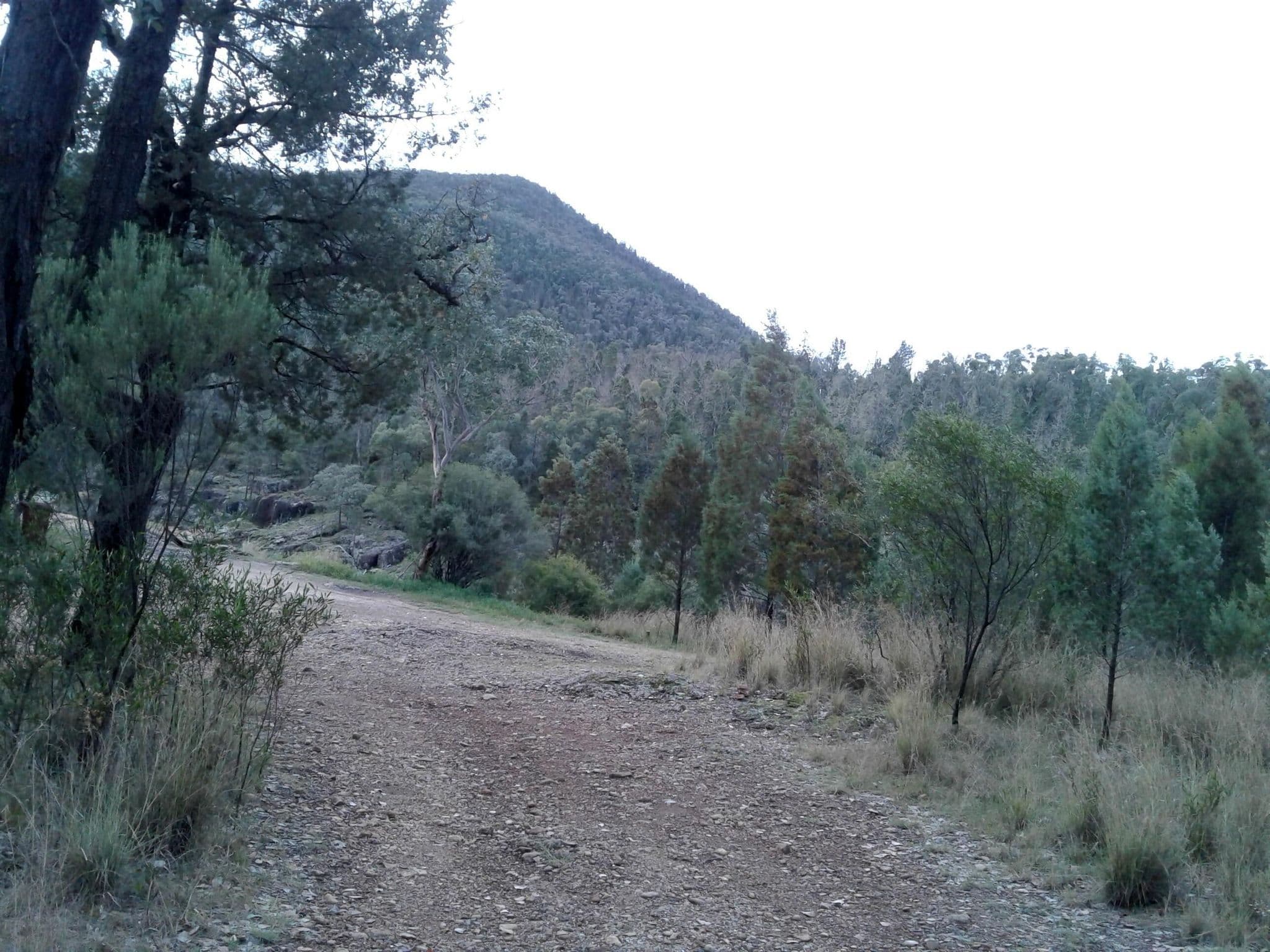 Street view near Rocky Creek Glacial Area, Bingara — © bob3bob3 (CC BY-SA · Mapillary)