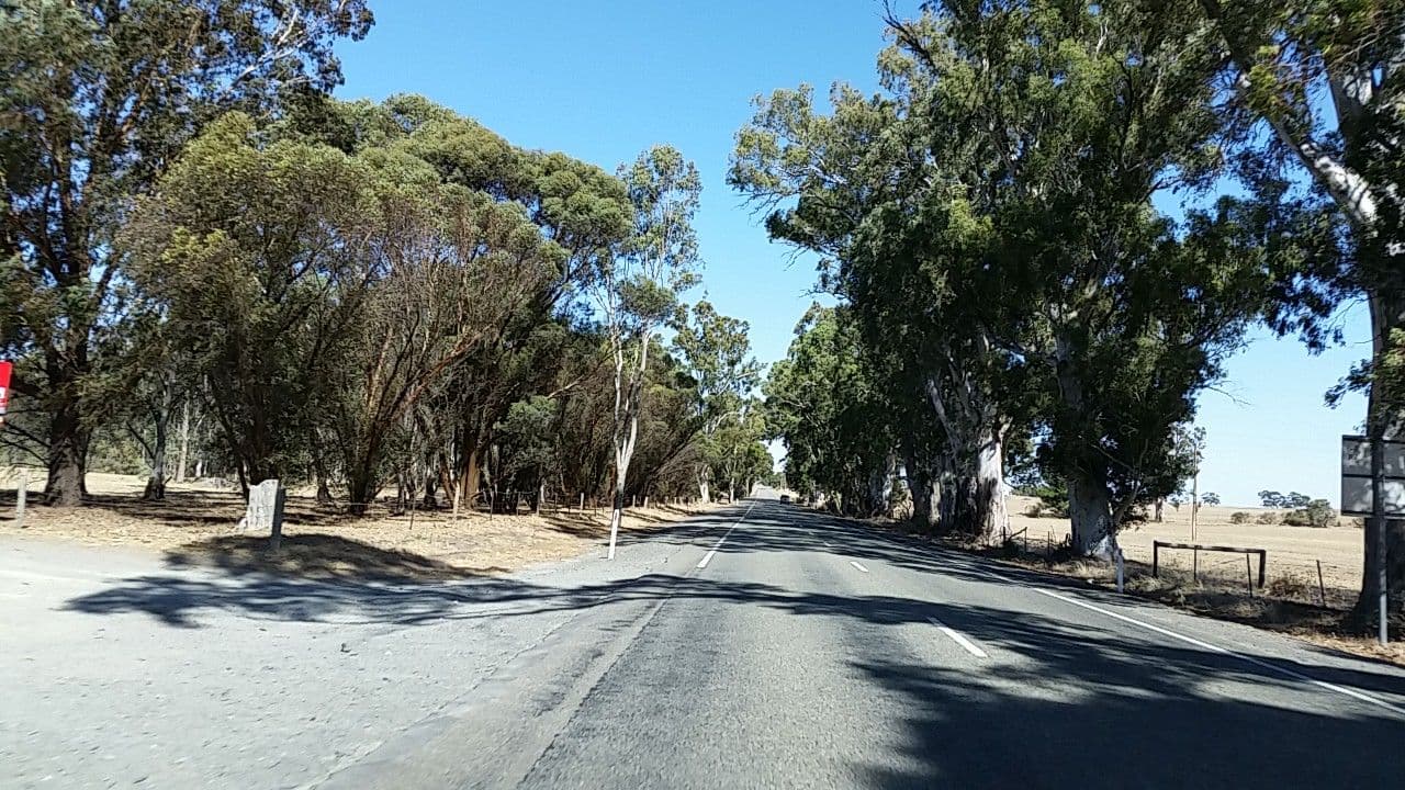 Street view near Saddleworth Rest Area, Kapunda — © didz (CC BY-SA · Mapillary)