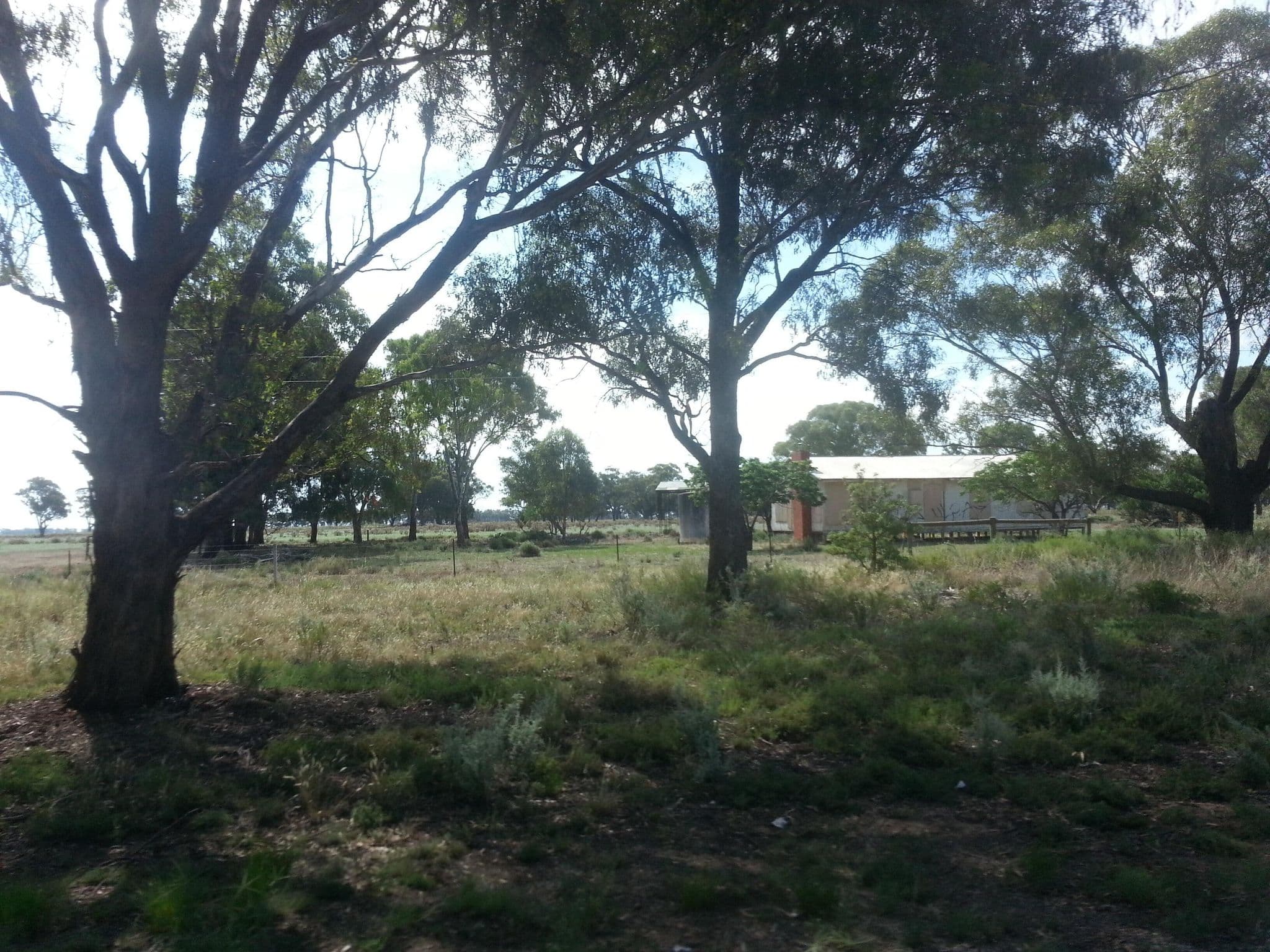 Street view near Tongaboo Rest Area - Northbound, Finley — © bob3bob3 (CC BY-SA · Mapillary)
